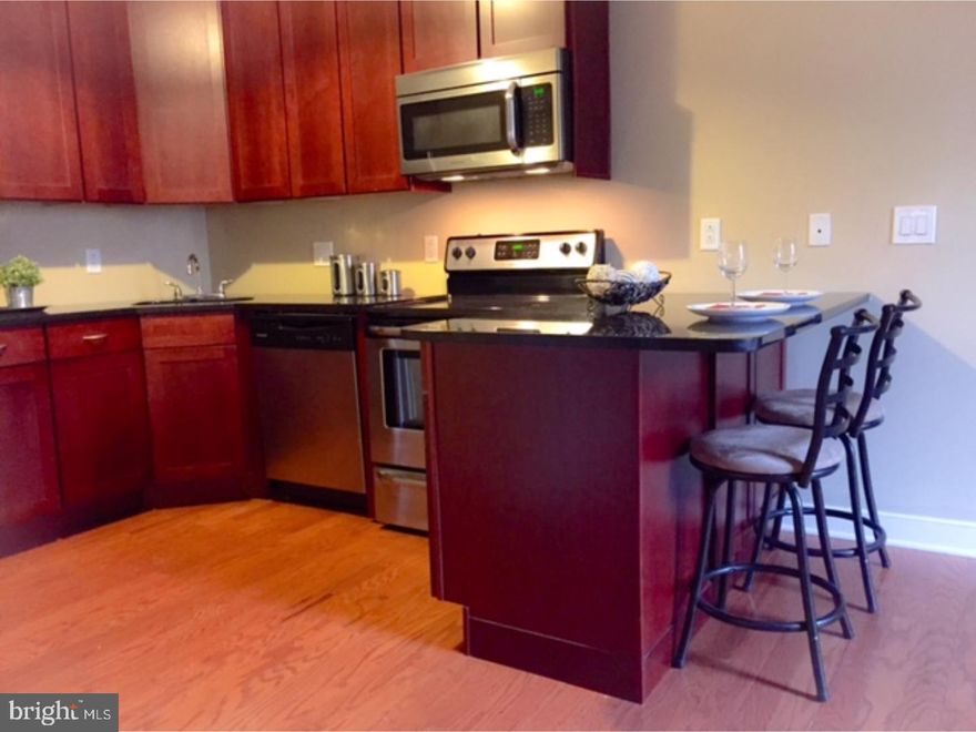 Check out this beautiful apartment in a prime location in Manayunk! This 1 bedroom/ 1 bath unit is spacious with a Washer and Dryer in unit. The kitchen has all been recently updated with plenty of cabinet space and granite countertops. Bedroom is a good size with ample closet space. On site parking is available for $125/month. Water is an additional $35/month.