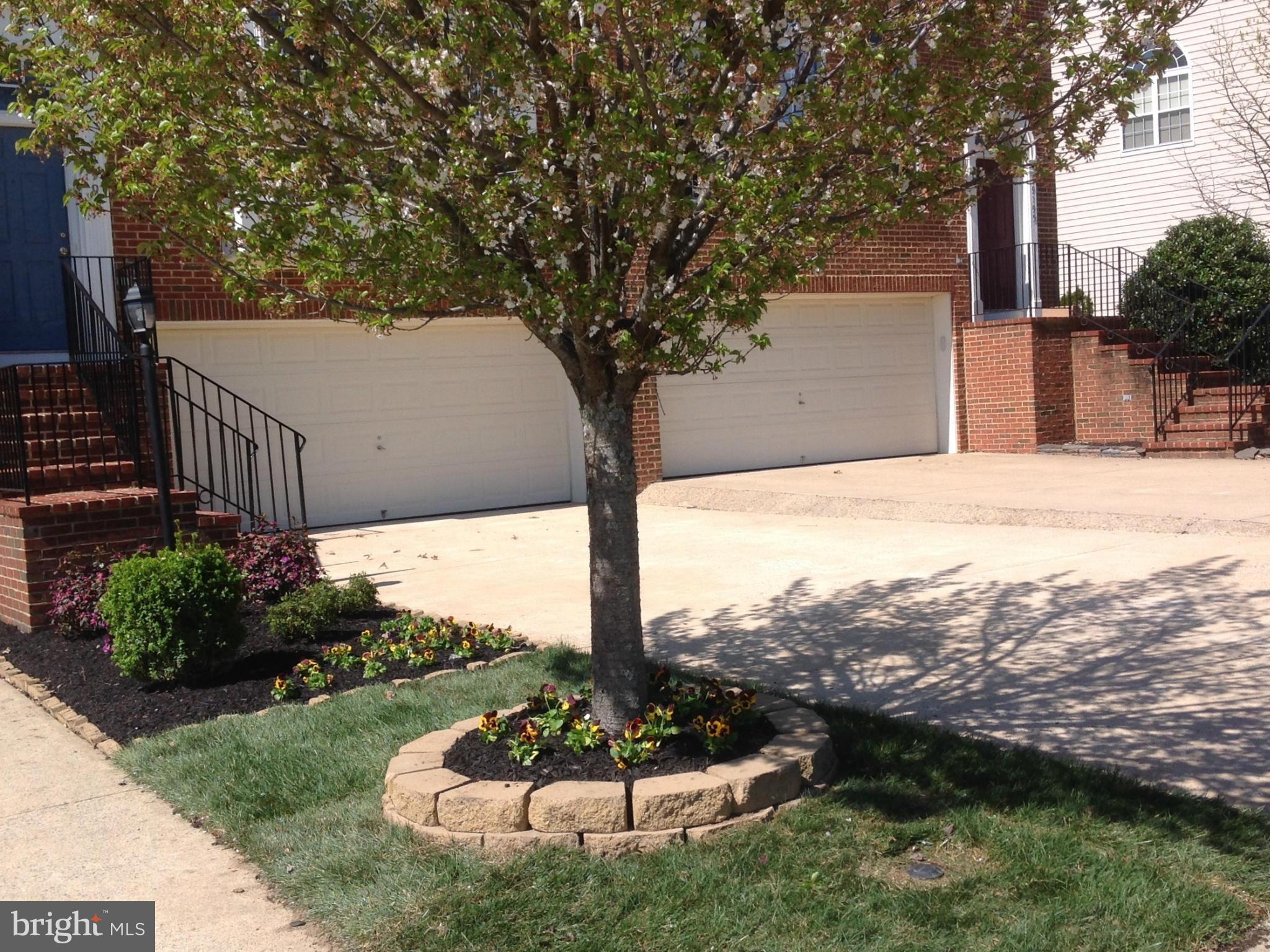 COTON COMMONS - Residential