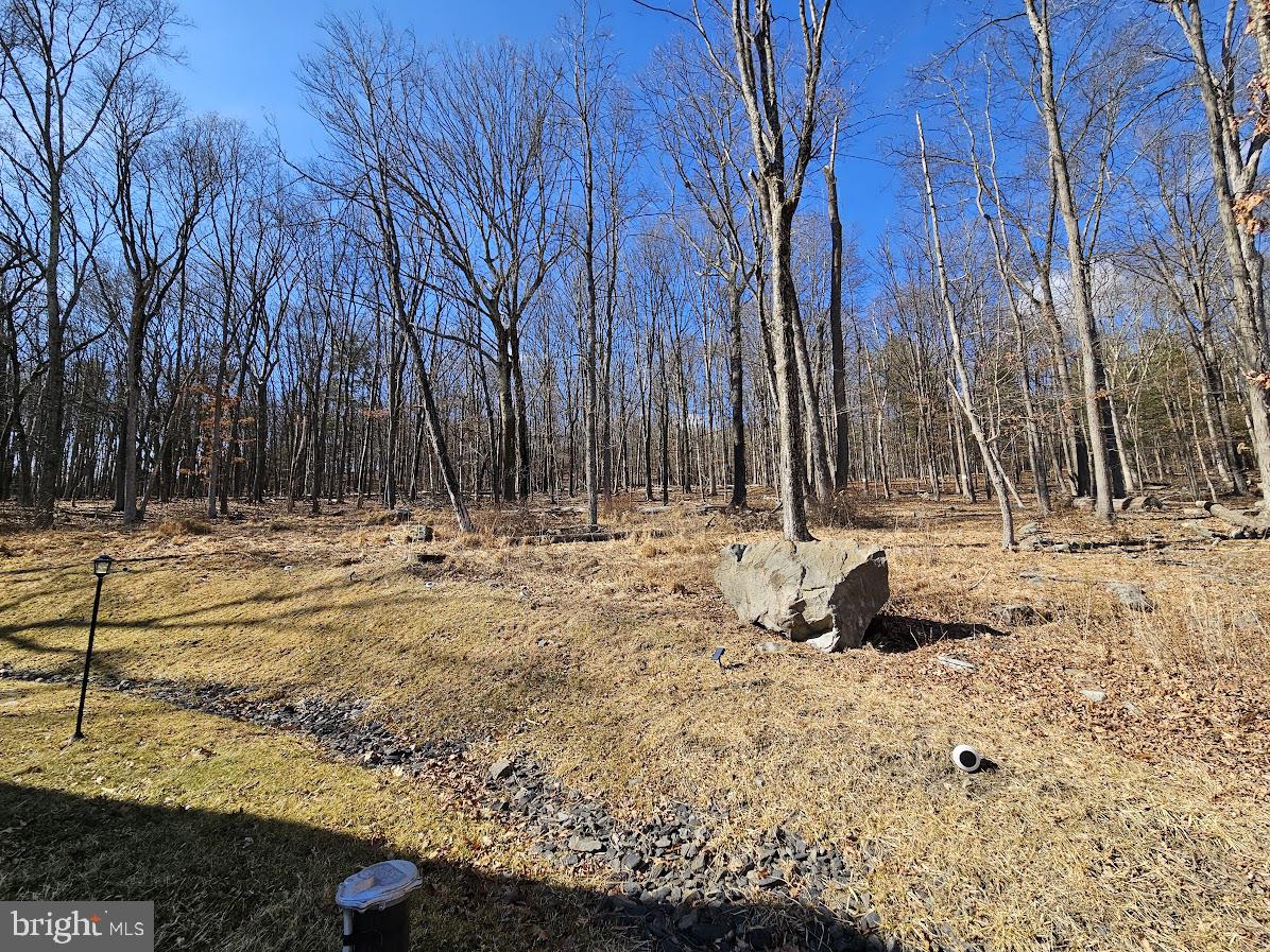 WEDGEWOOD LAKE ESTATES - Residential