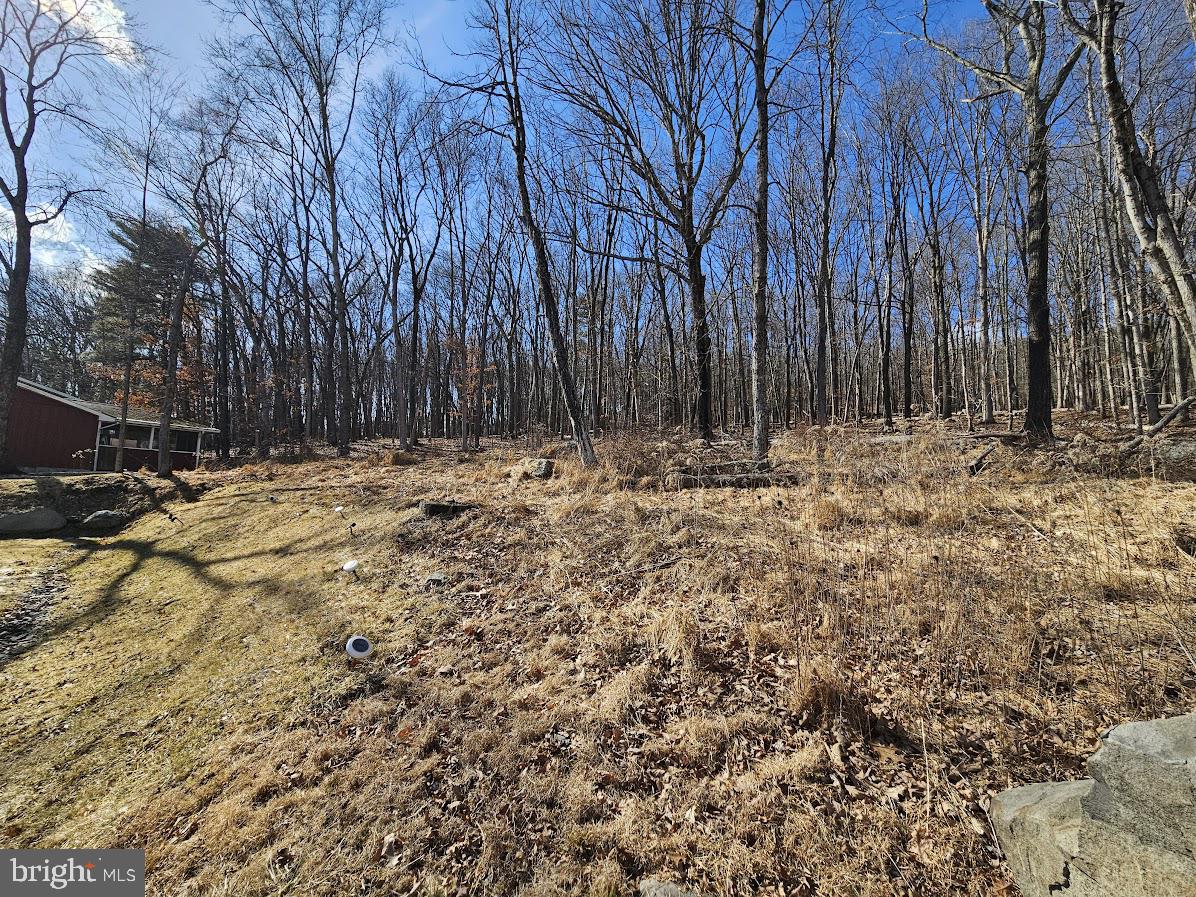 WEDGEWOOD LAKE ESTATES - Residential