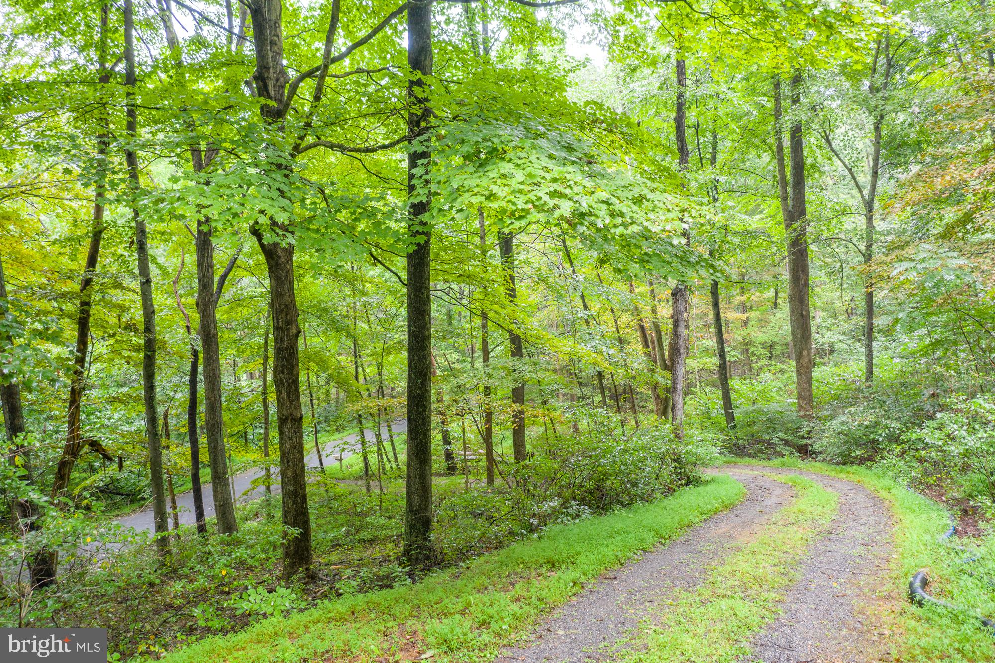 ROUSE MOUNTAIN - Residential