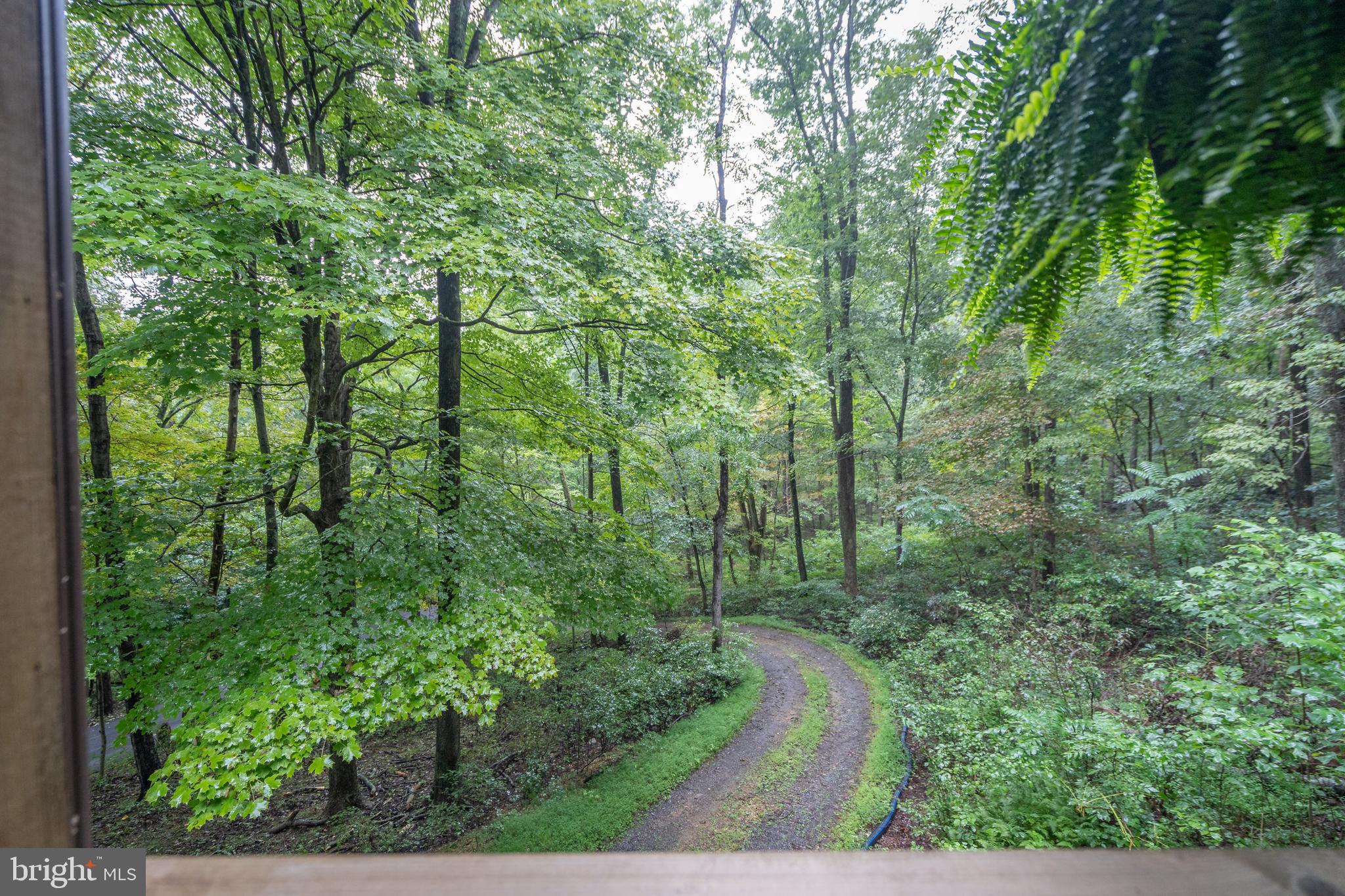 ROUSE MOUNTAIN - Residential