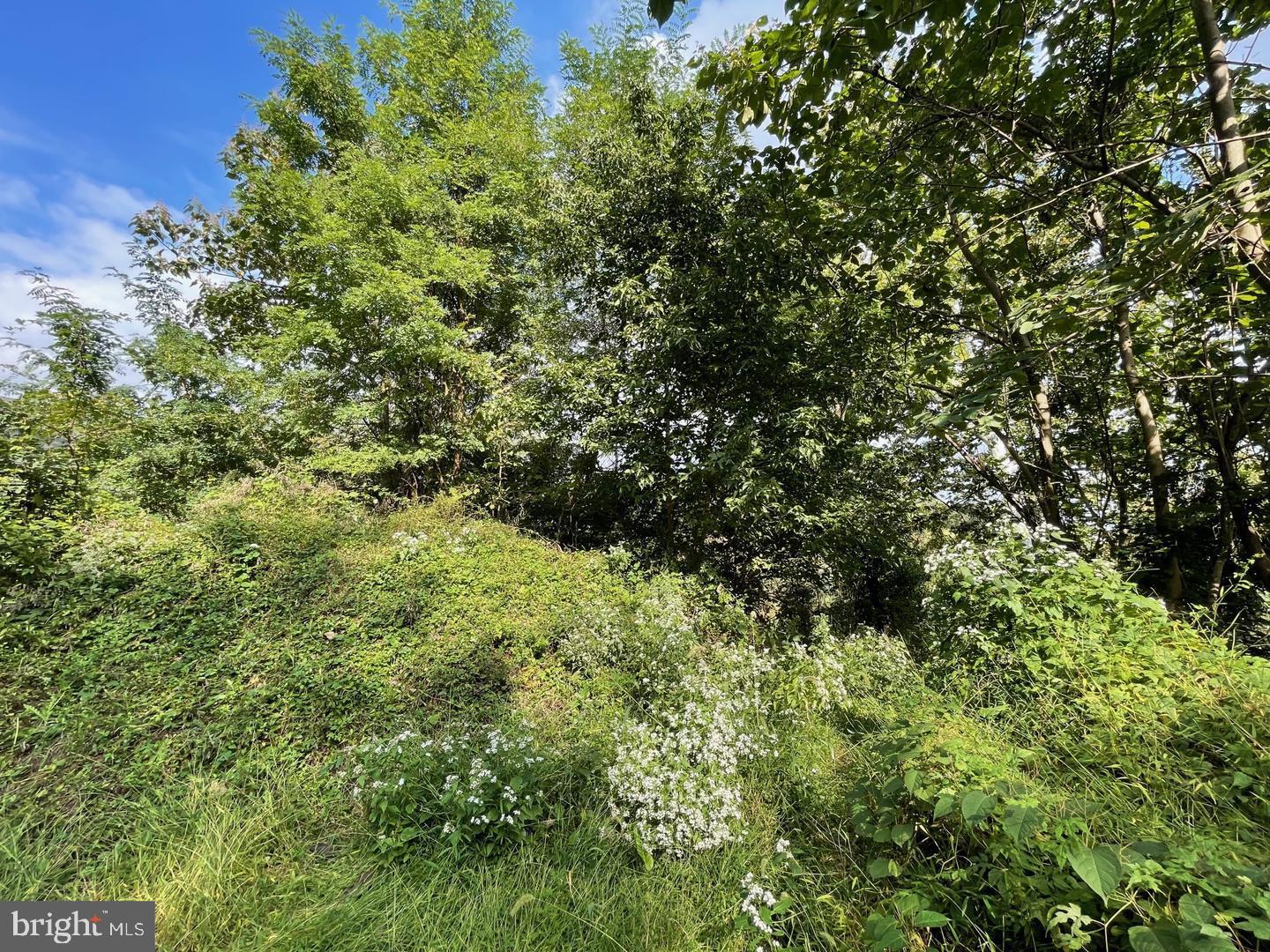 WESTBROOK PARK - Land