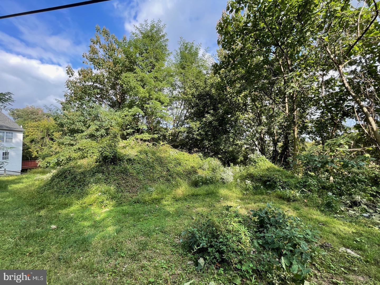 WESTBROOK PARK - Land