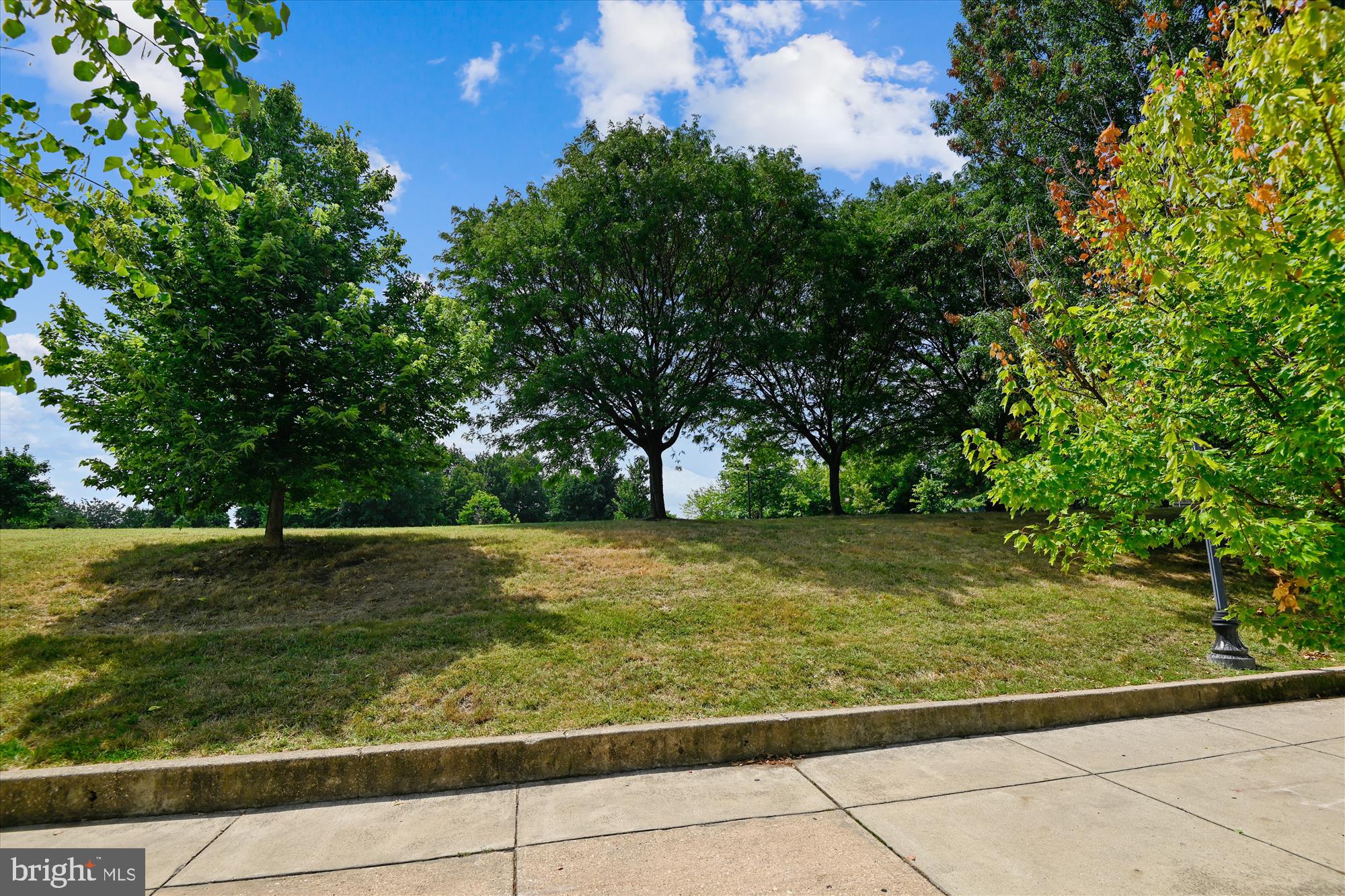 PATTERSON PARK - Residential