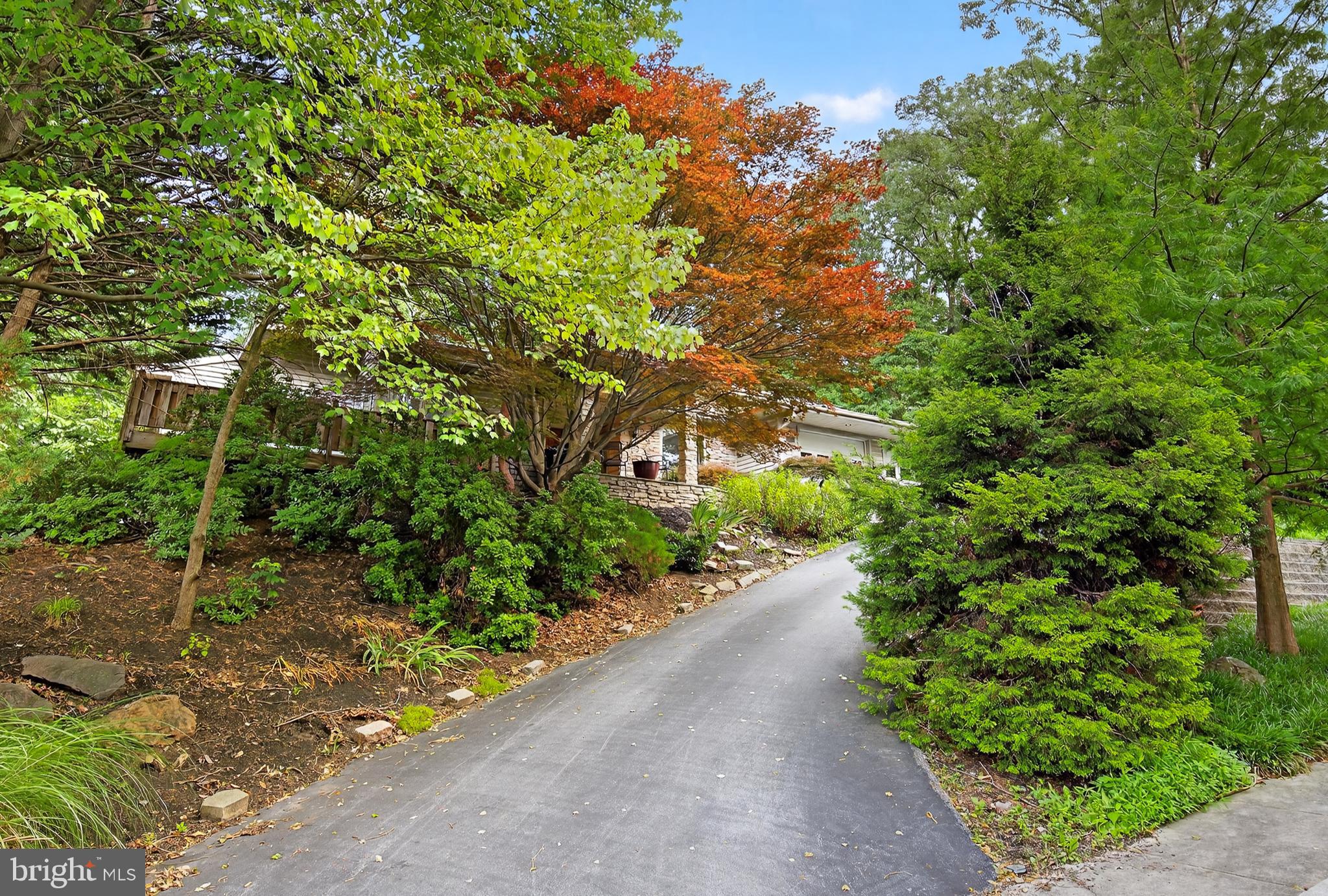 921 TIMBER LANE