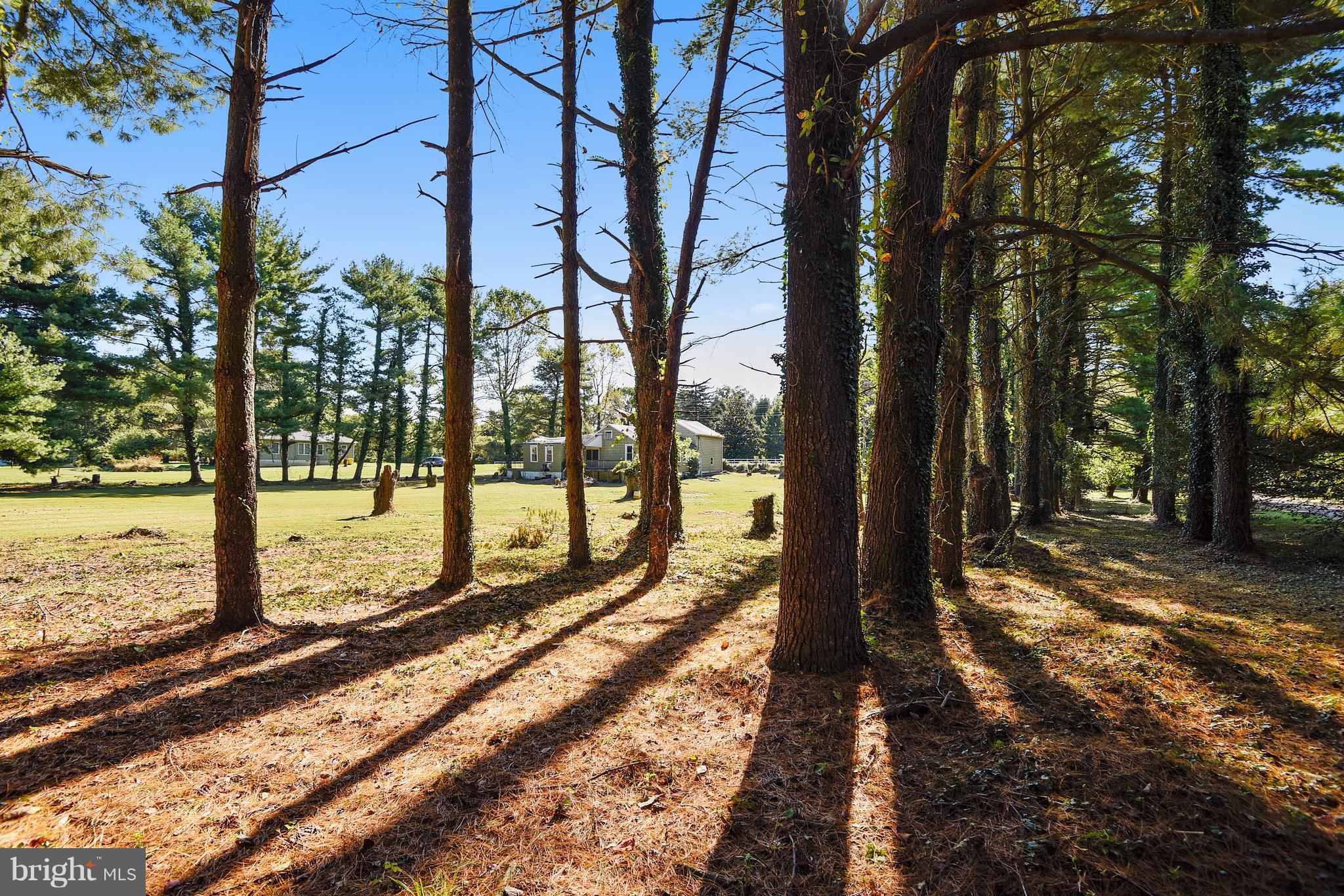 SAINT MARGARETS LANDING - Residential