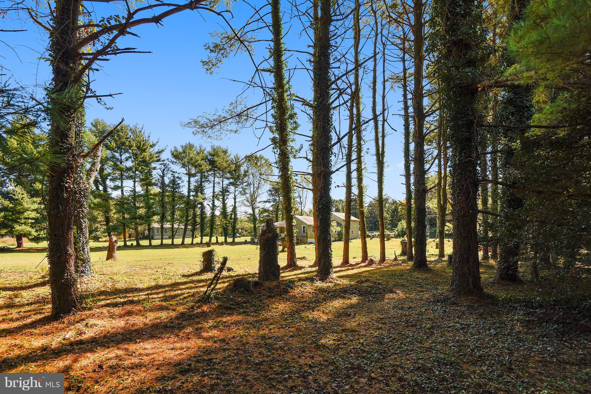 SAINT MARGARETS LANDING - Residential