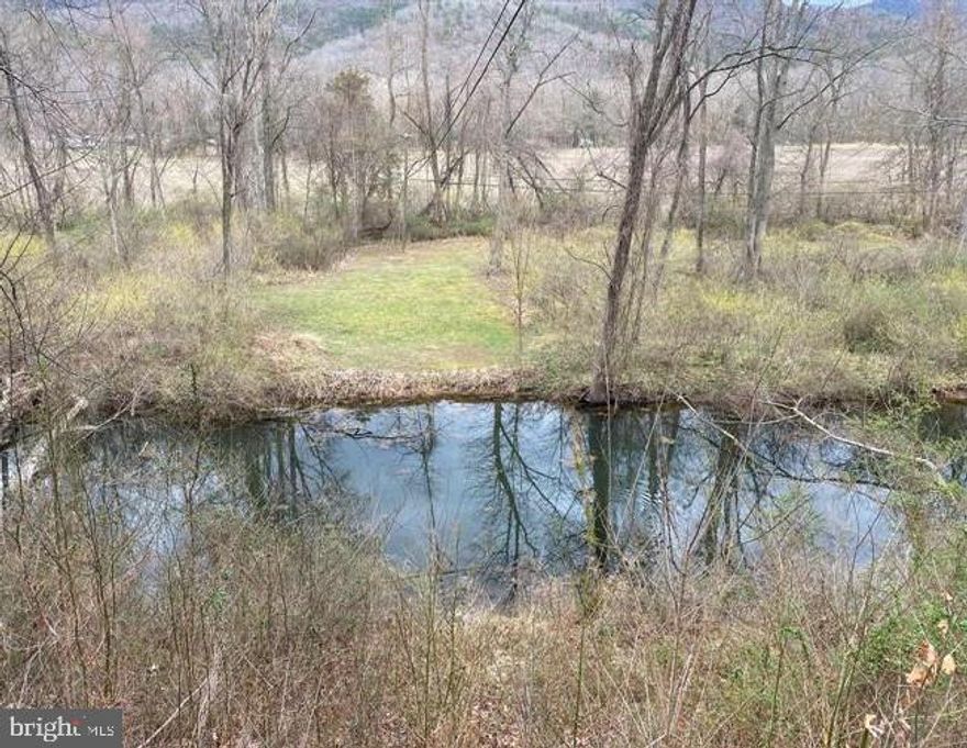 UNRESTRICTED, LEVEL, EASY ACCESS, POND, PARTLY WOODED, PARTLY CLEARED.  CURRENTLY BEING FARMED AND USED FOR RECREATION.  GREAT SPOT FOR CAMPING, FARMING, FISHING, HUNTING AND BUILDING YOUR GET-A-WAY OR PREMANENT HOME.  PROPERTIES LIKE THIS ARE VERY RARE.  CALL FOR YOUR VIEWING TODAY.