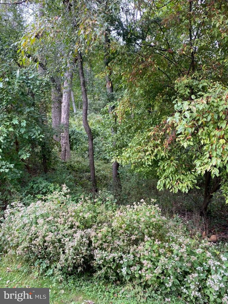 BALLINAHINCH - Residential Lease