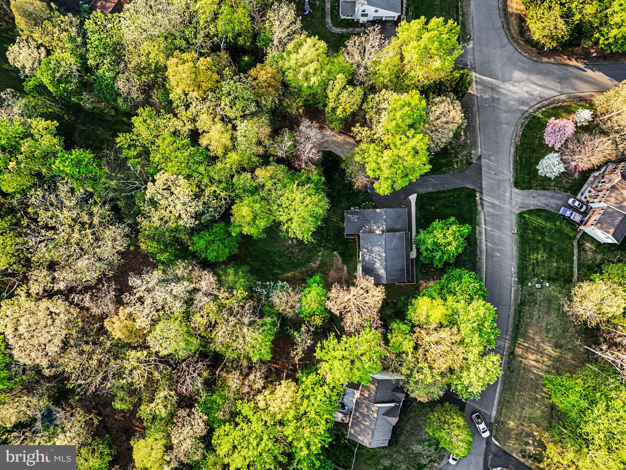 SPRING LAKE ESTATES - Residential