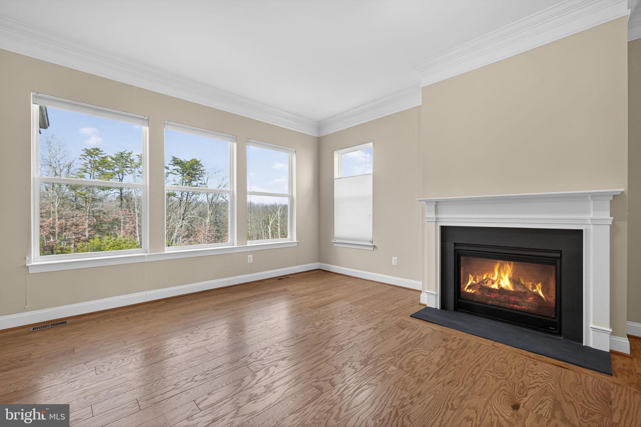 SHENANDOAH, LAKE FREDERICK - Residential