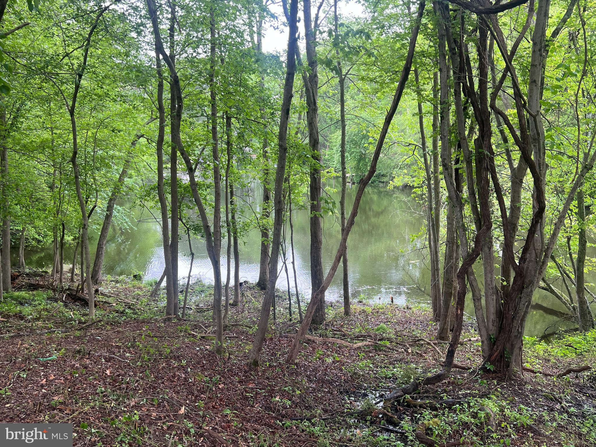 LAKE SHORE - Residential