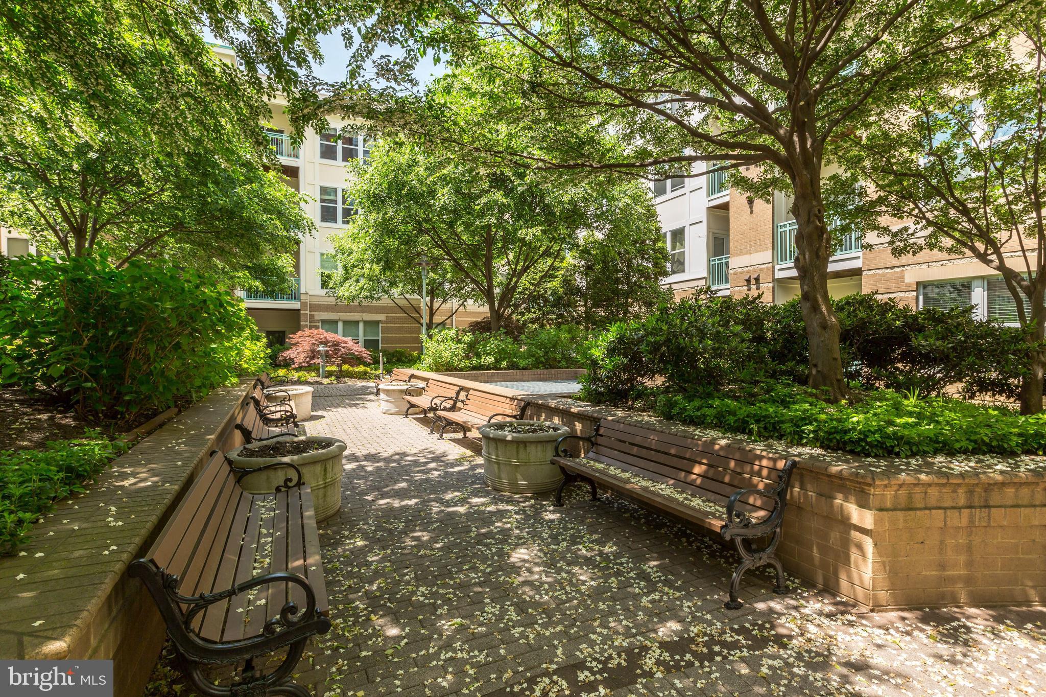 SAVOY AT RESTON TOWN CENTER - Residential