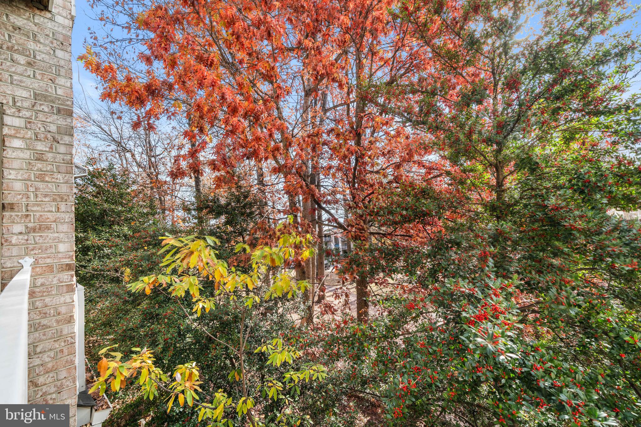 WESTBRIAR CONDOMINIUMS - Residential