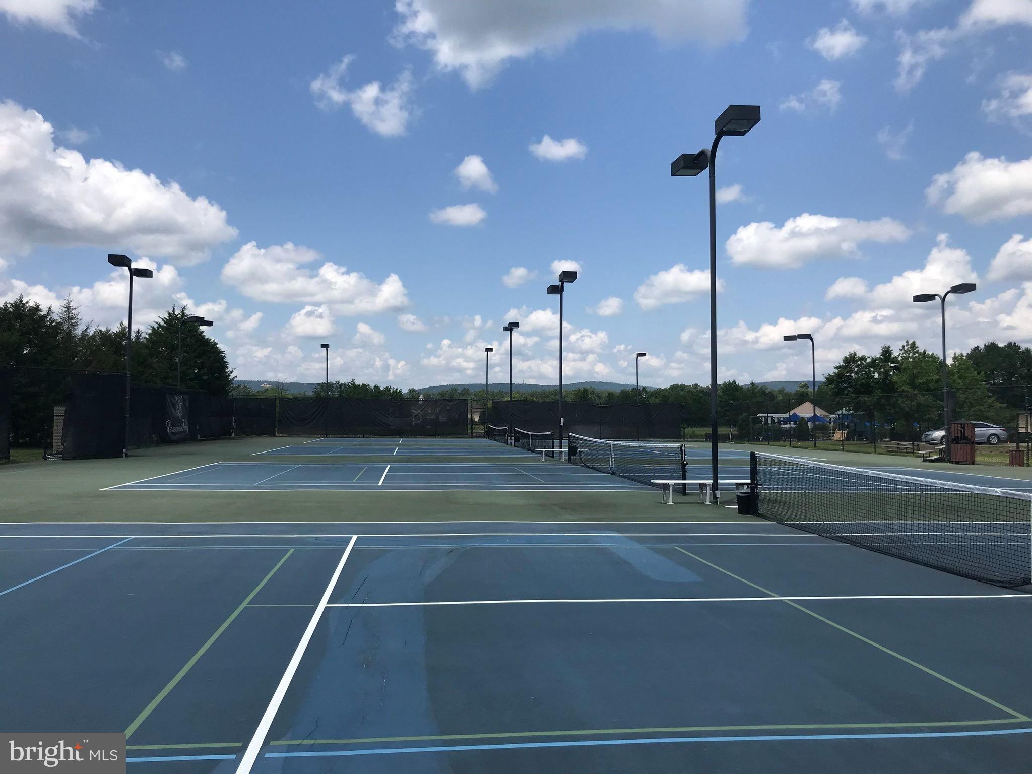 REGENCY AT DOMINION VALLEY - Residential