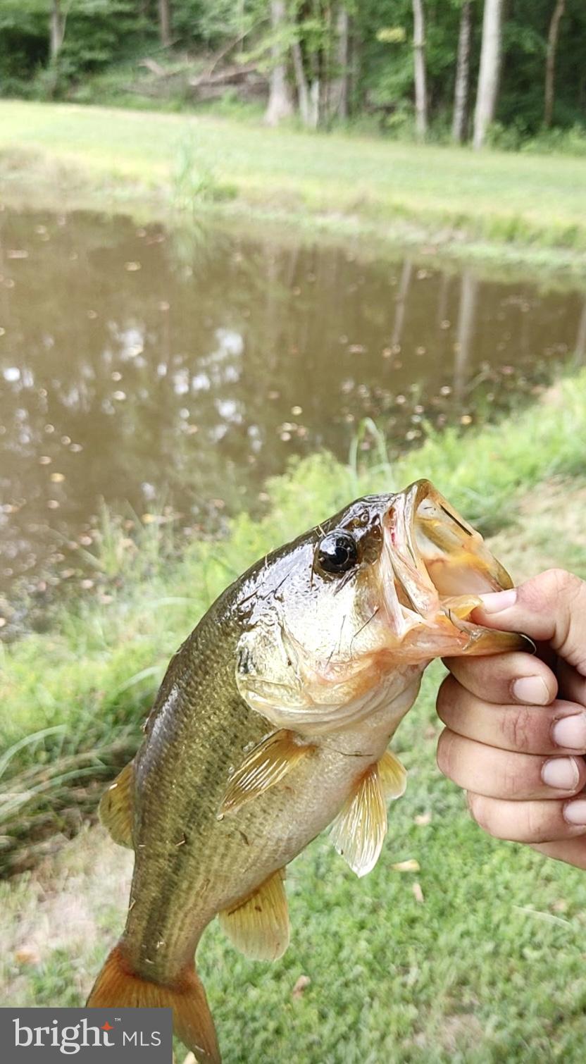 CHURCH HILL - Residential