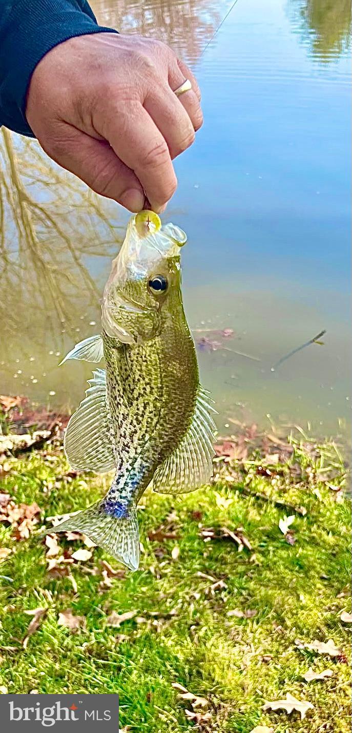 CHURCH HILL - Residential