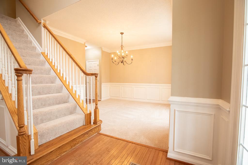 JAMESTOWNE - Residential