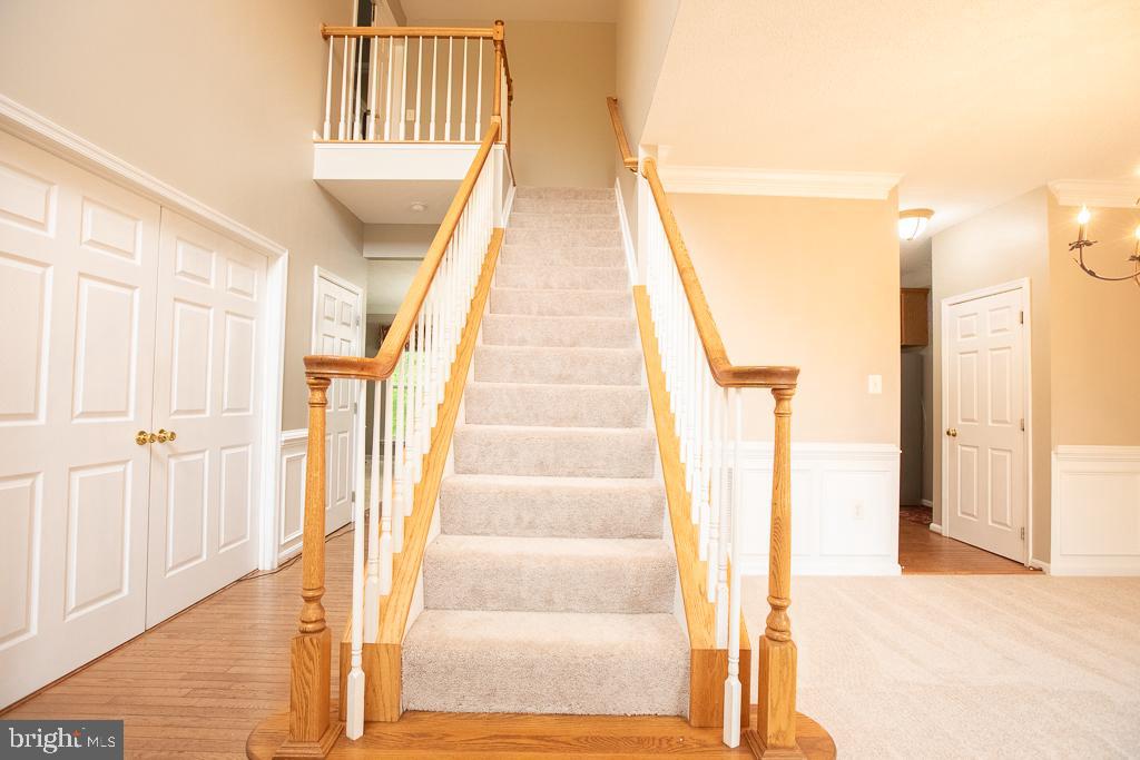 JAMESTOWNE - Residential