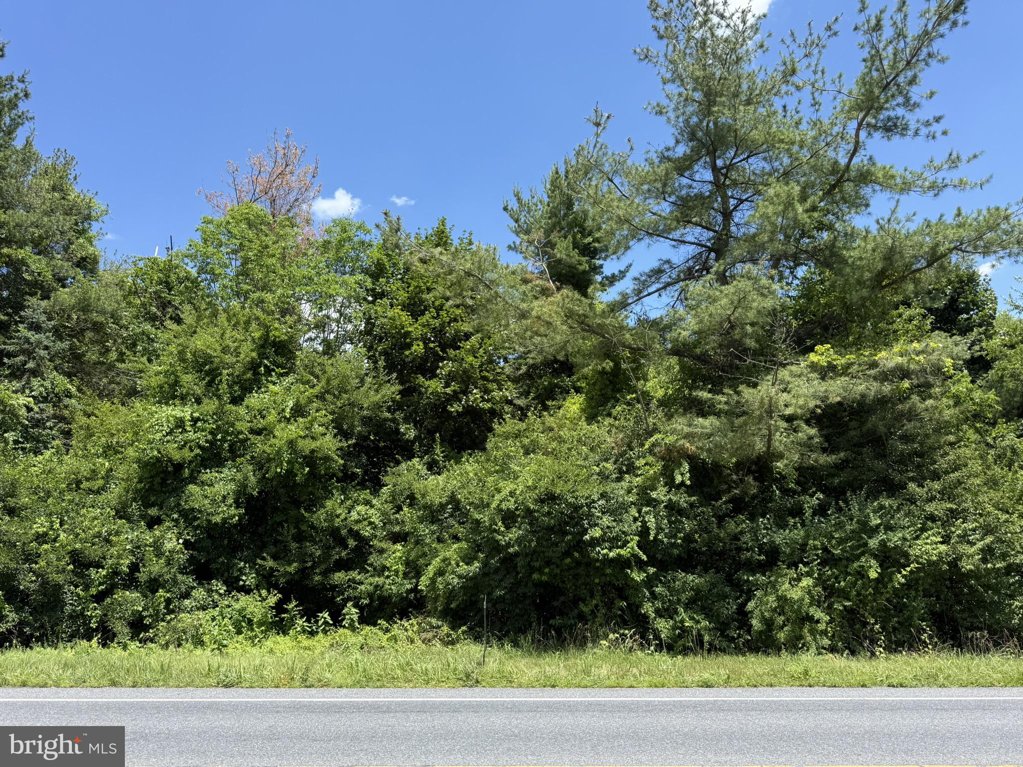 4750 MORGANTOWN ROAD