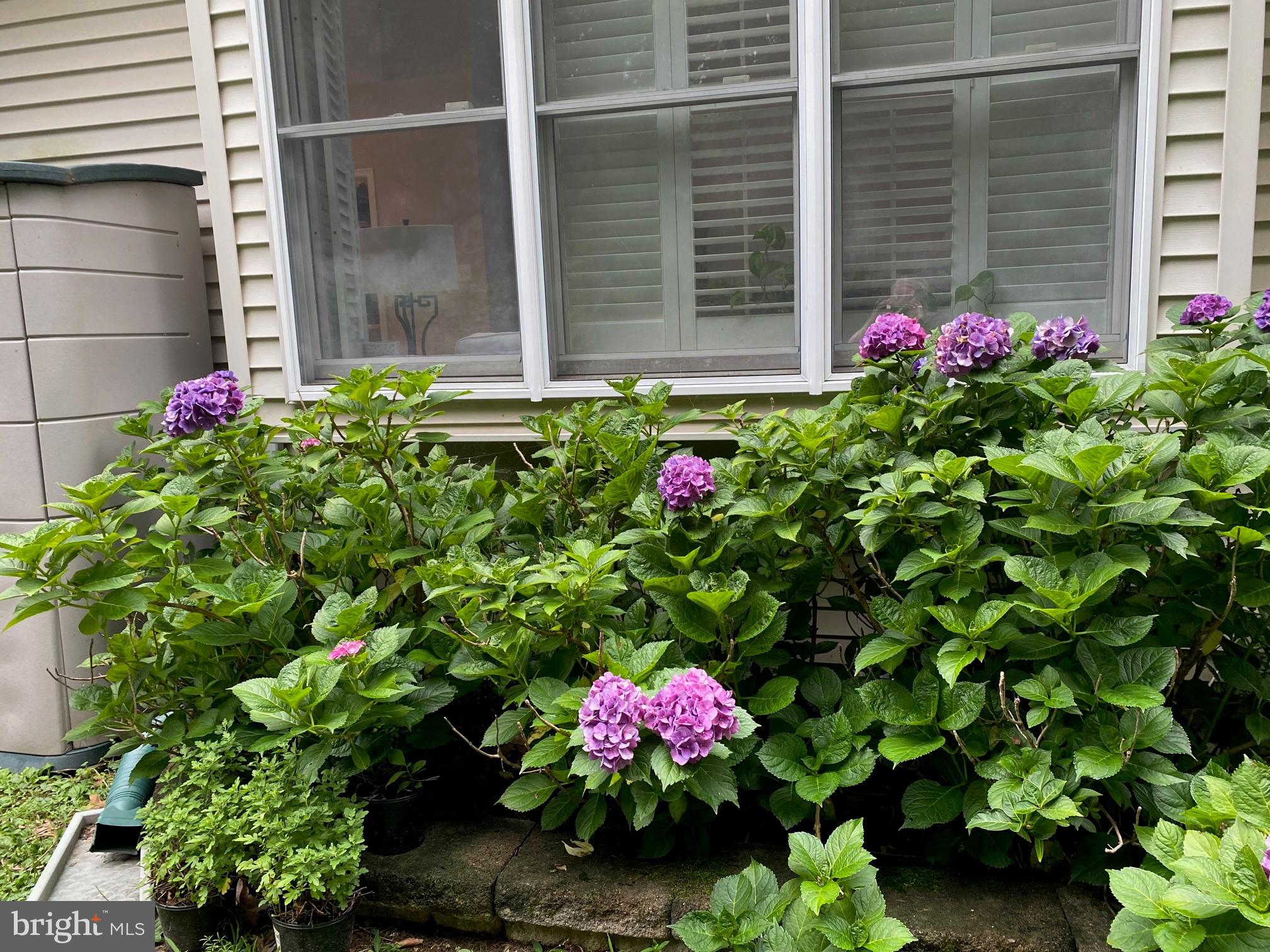 HERNDON CHASE - Residential