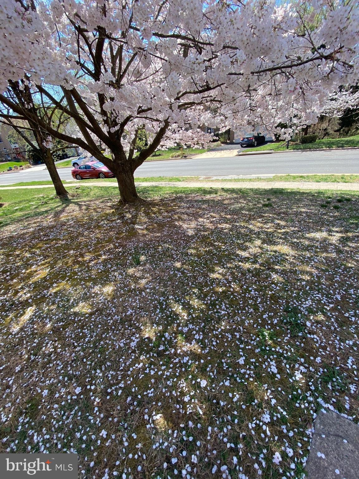 HERNDON CHASE - Residential