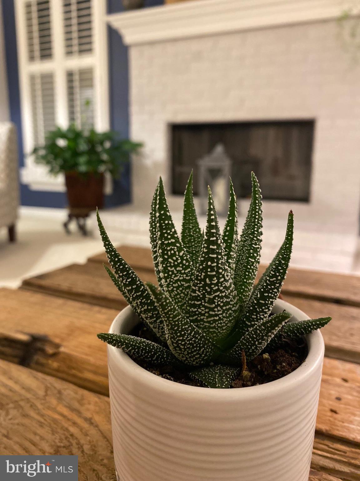 HERNDON CHASE - Residential