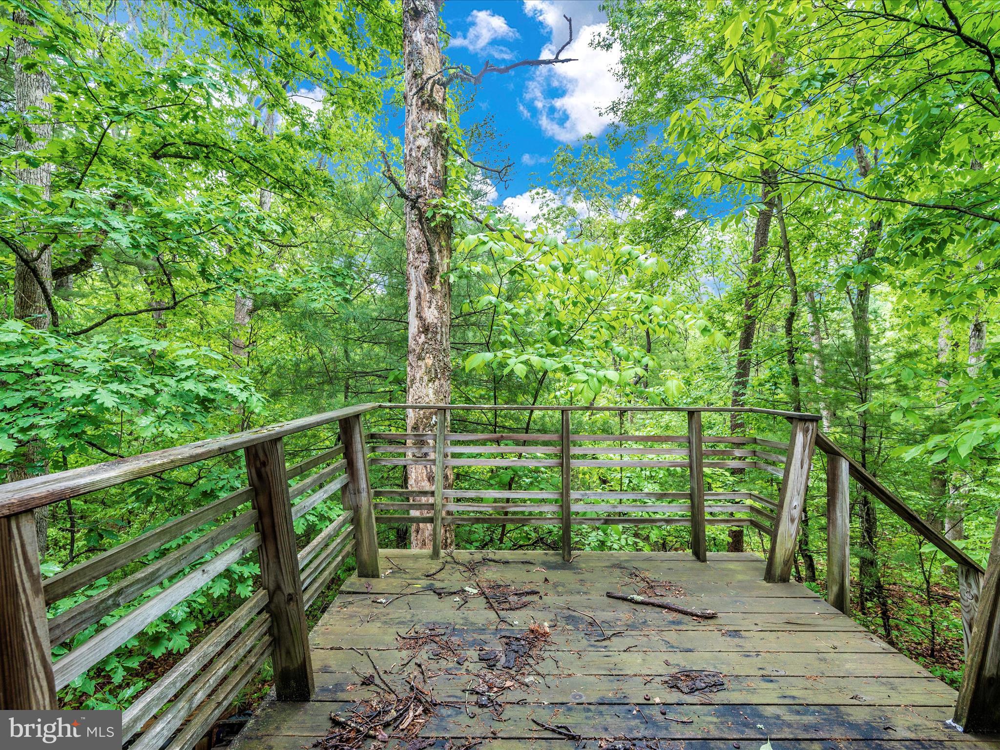 GLENWOOD FOREST - Residential