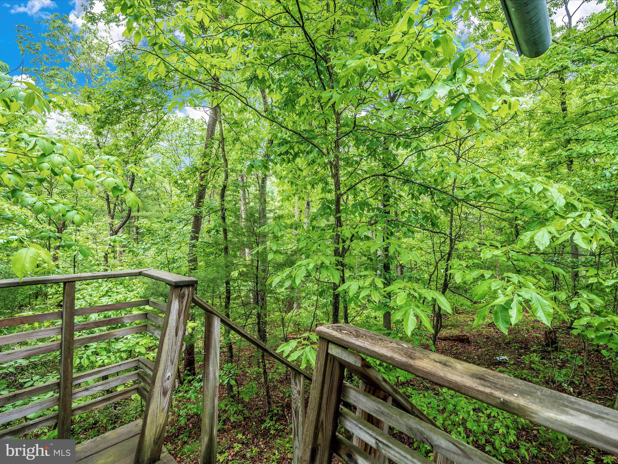 GLENWOOD FOREST - Residential