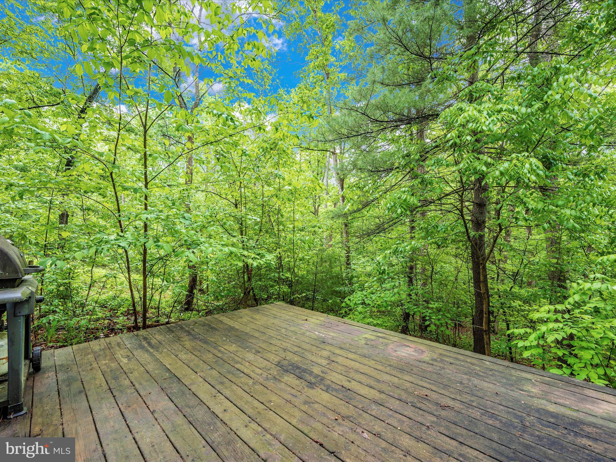 GLENWOOD FOREST - Residential