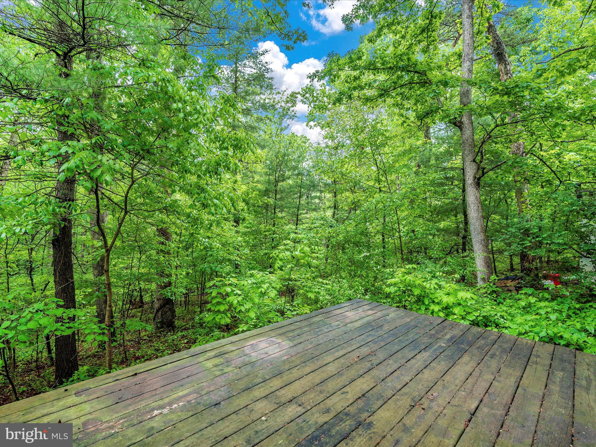 GLENWOOD FOREST - Residential