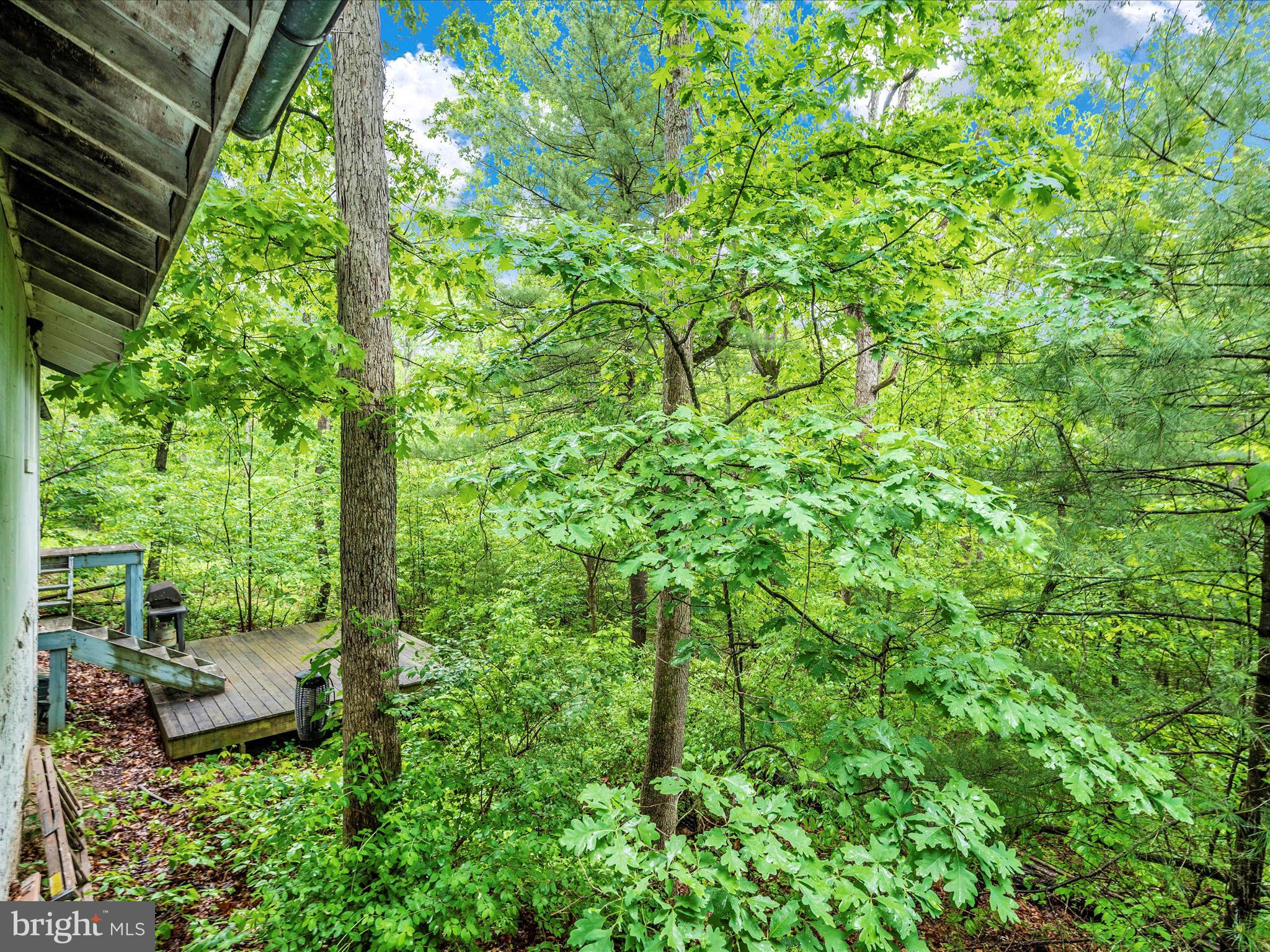 GLENWOOD FOREST - Residential