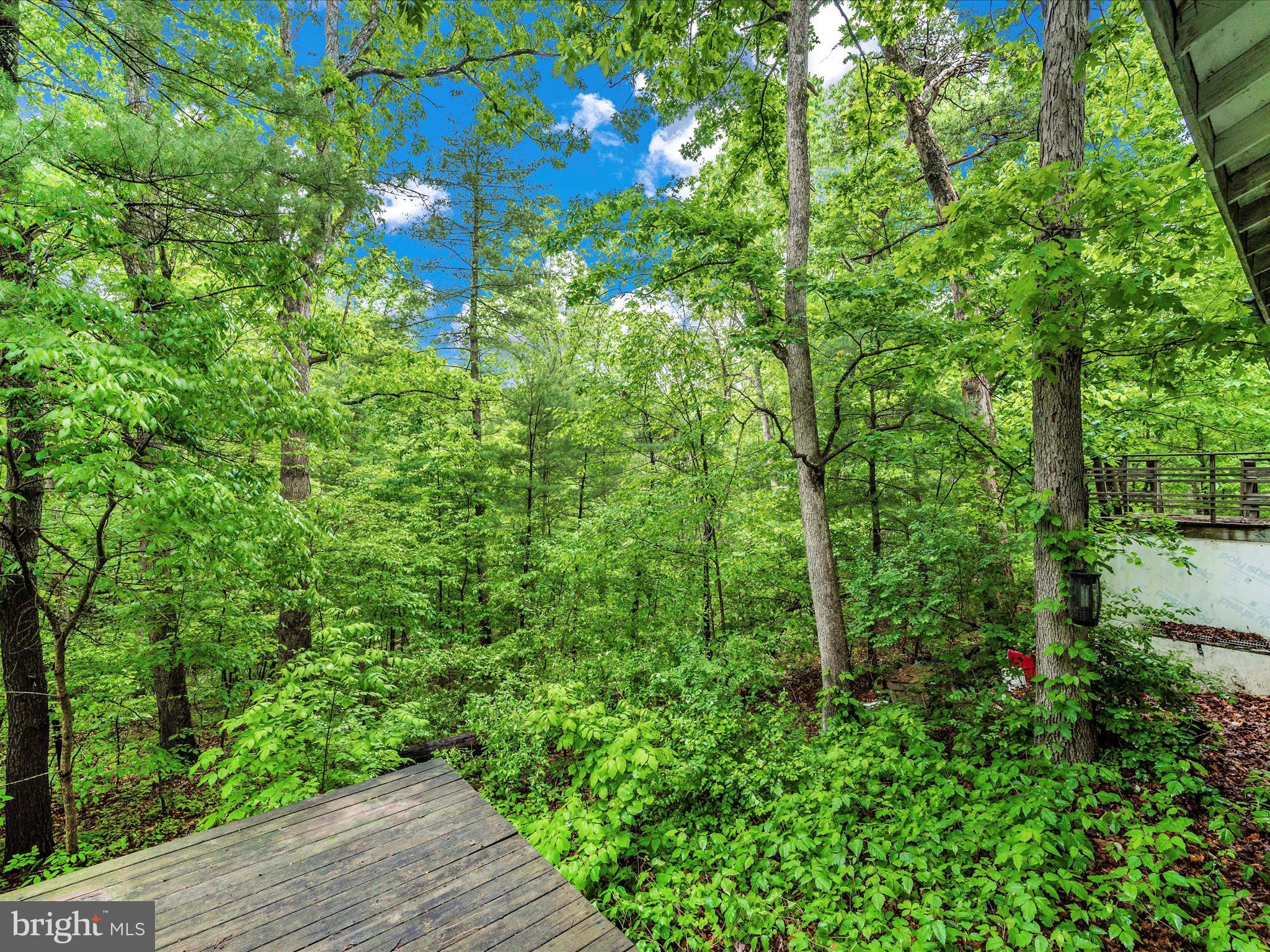 GLENWOOD FOREST - Residential