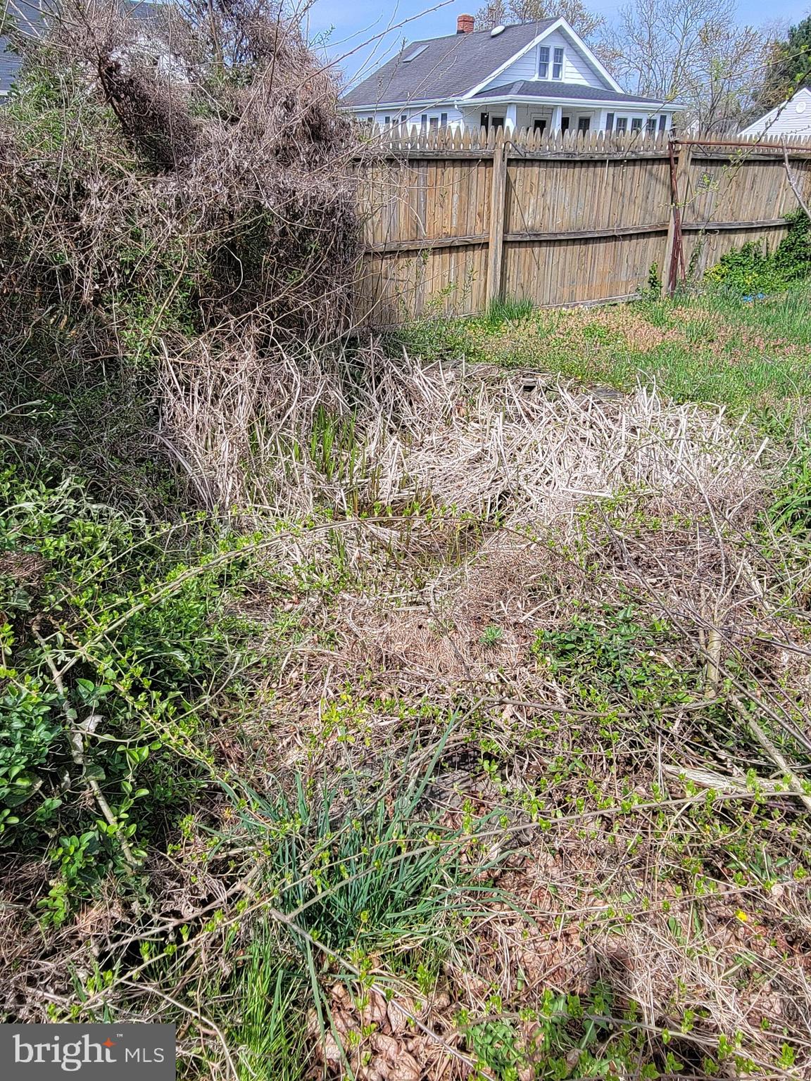 FEDERALSBURG - Residential