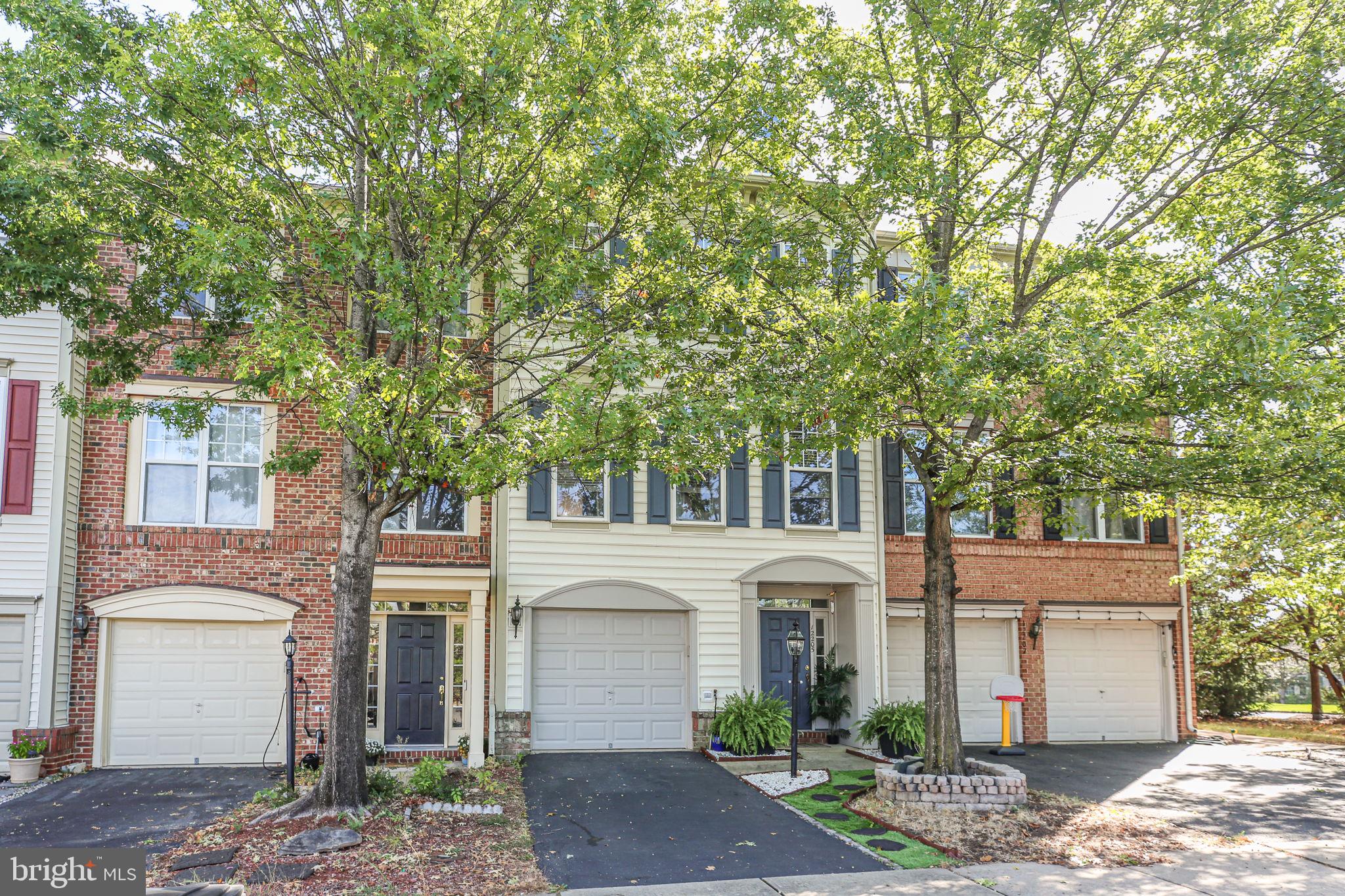 12205 DESOTO FALLS COURT