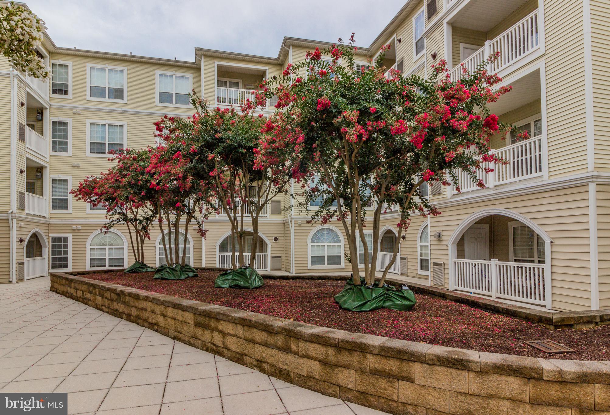 PALAZZO AT PARK CENTER - Residential Lease