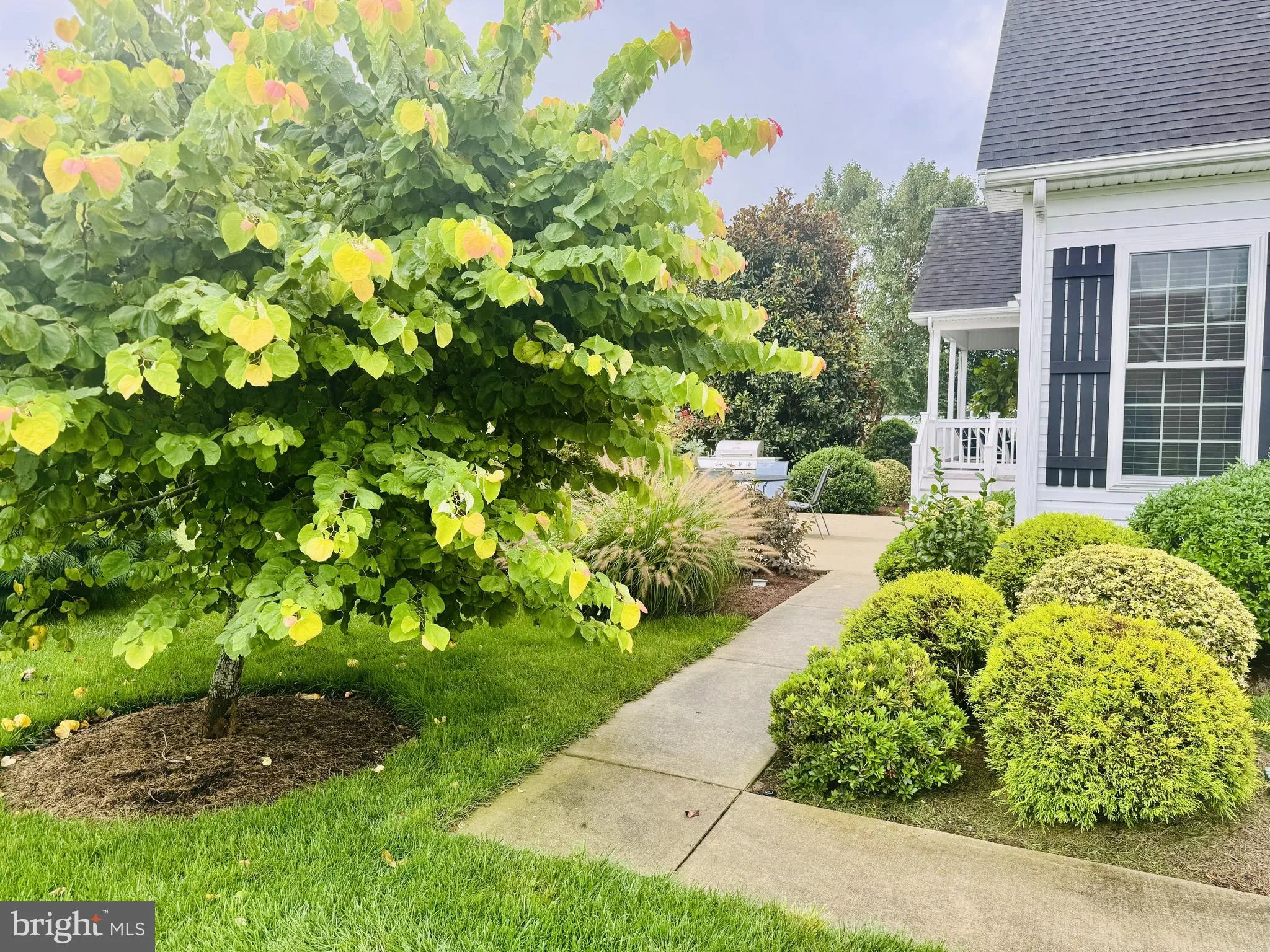 Milton, Delaware 19968, United States, 3 Bedrooms Bedrooms, ,2 BathroomsBathrooms,Residential,Active,194832