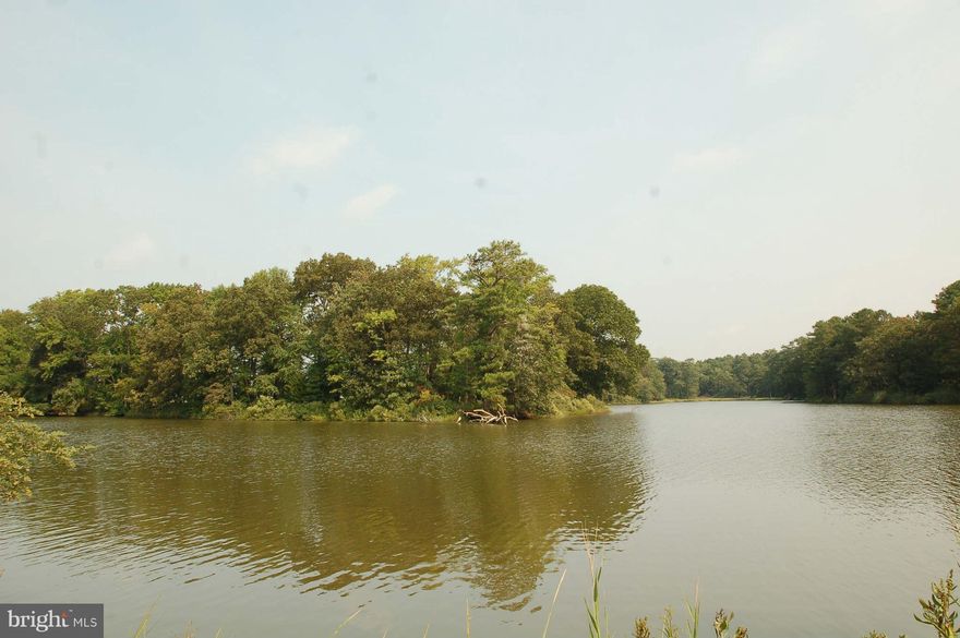 Build your dream home on this beautiful 20+ ACRE WATERFRONT LOT on Greenwood Creek - Only 10 miles from the bay bridge!  Approx 3ft water with easy access to the bay.  Private home site with goose, duck & deer hunting.  BRING HORSES and keep them on your property, or board them next door in a 15 stall stable with dressage barn. This property is one of two remaining lots. Lot 3 also for sale.