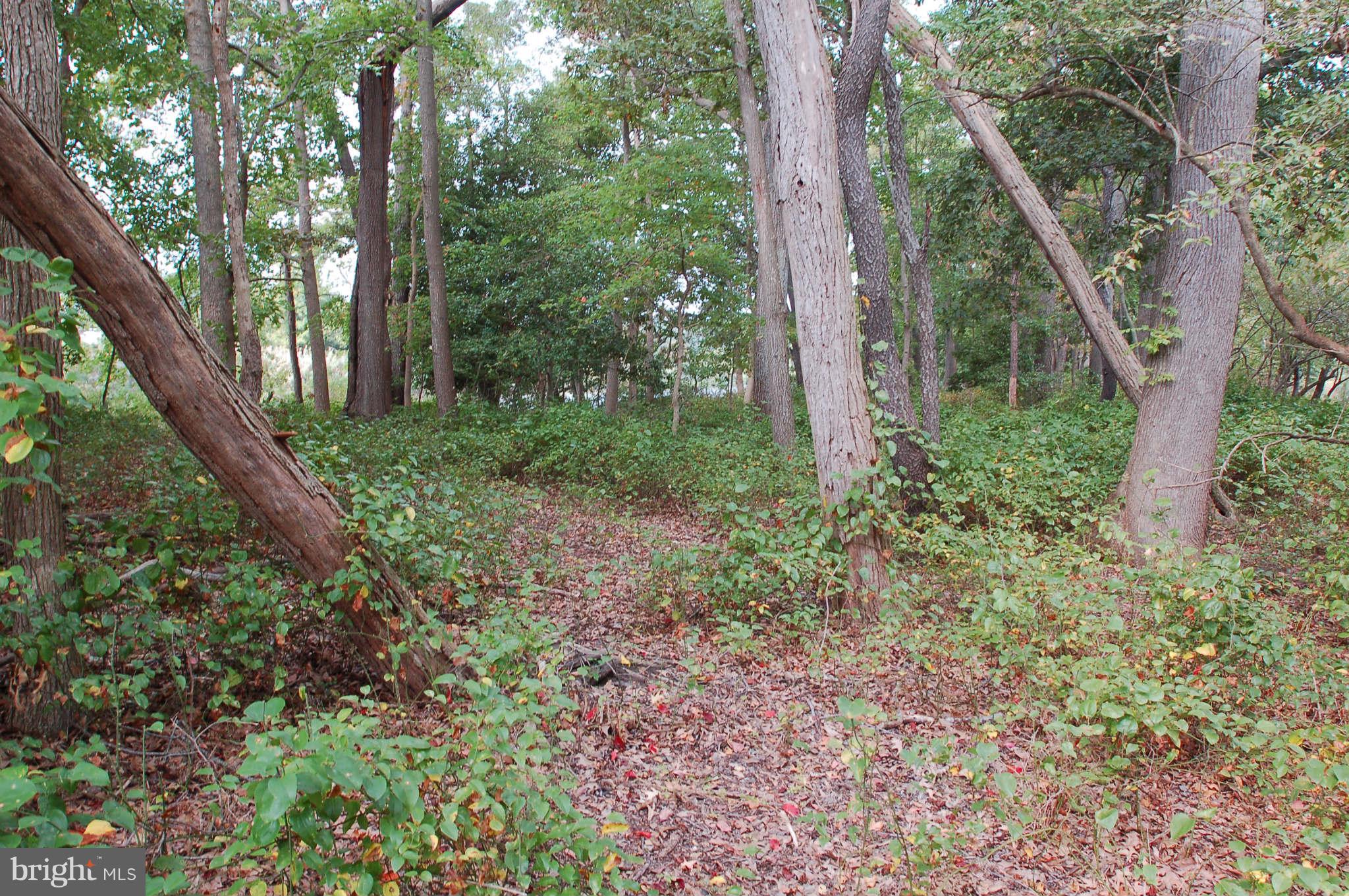 LANDS OF A KUDNER JR - Land