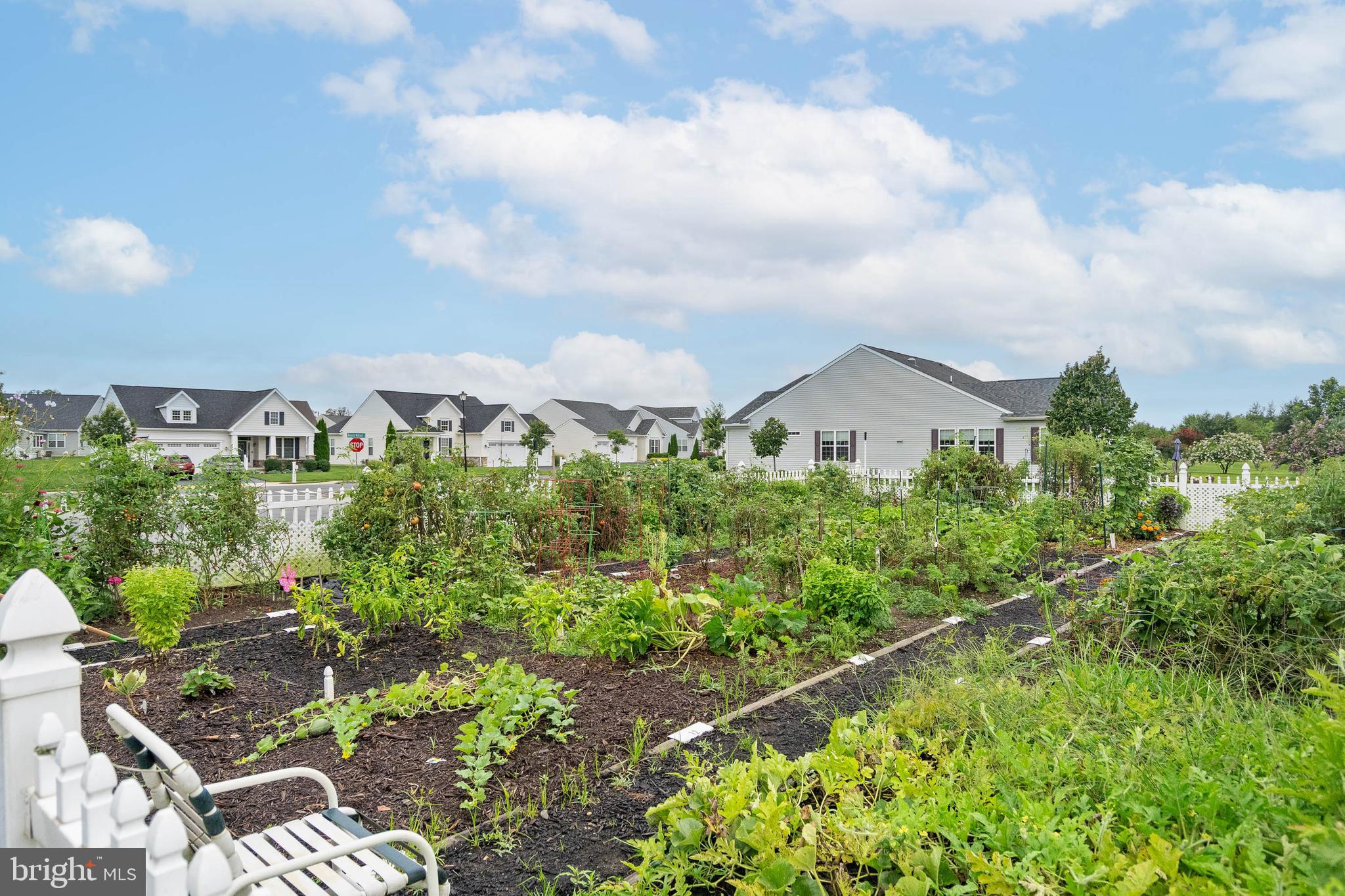 CHAMPIONS CLUB - Residential