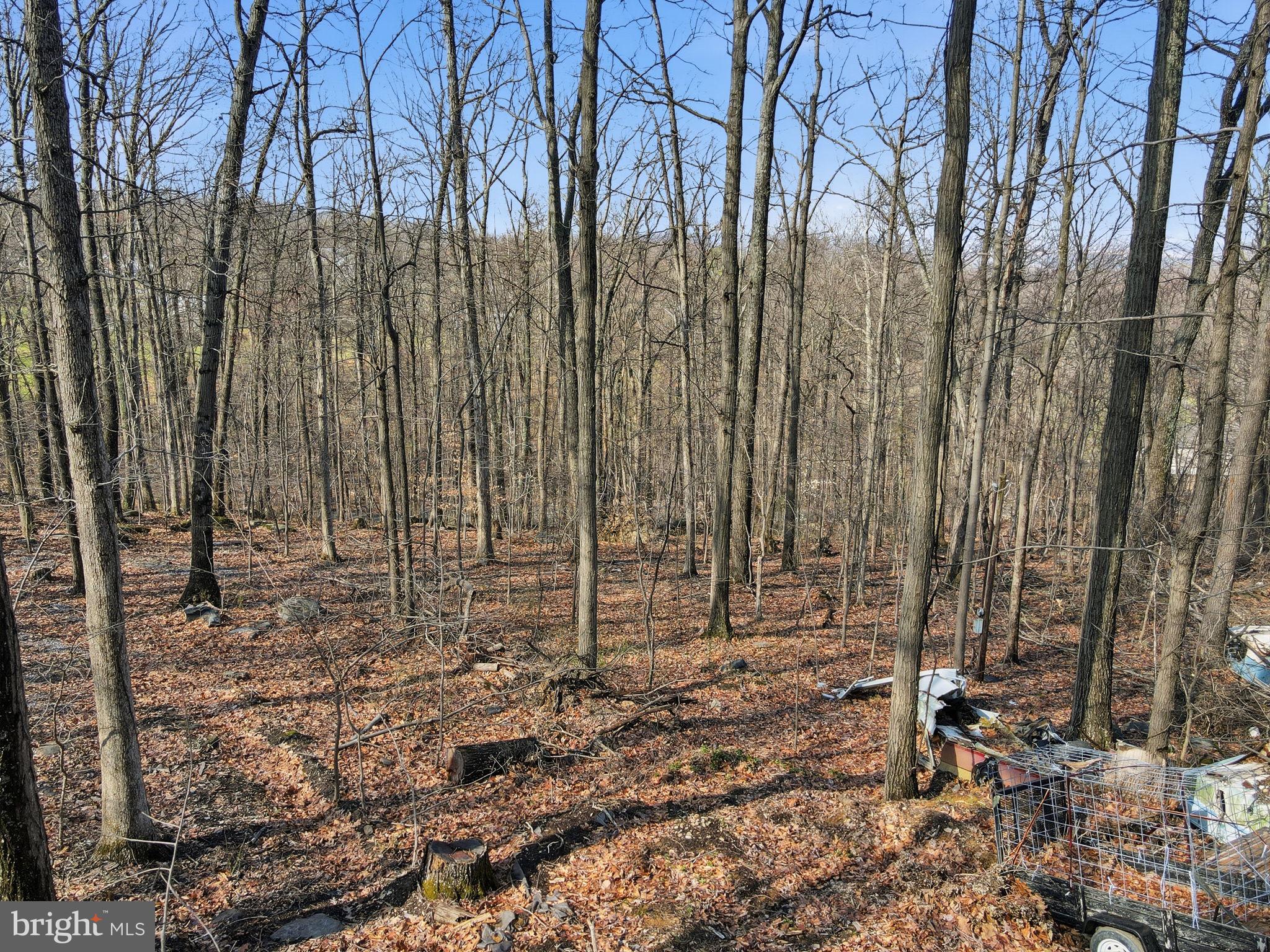 WEST RIDGE HILLS - Land