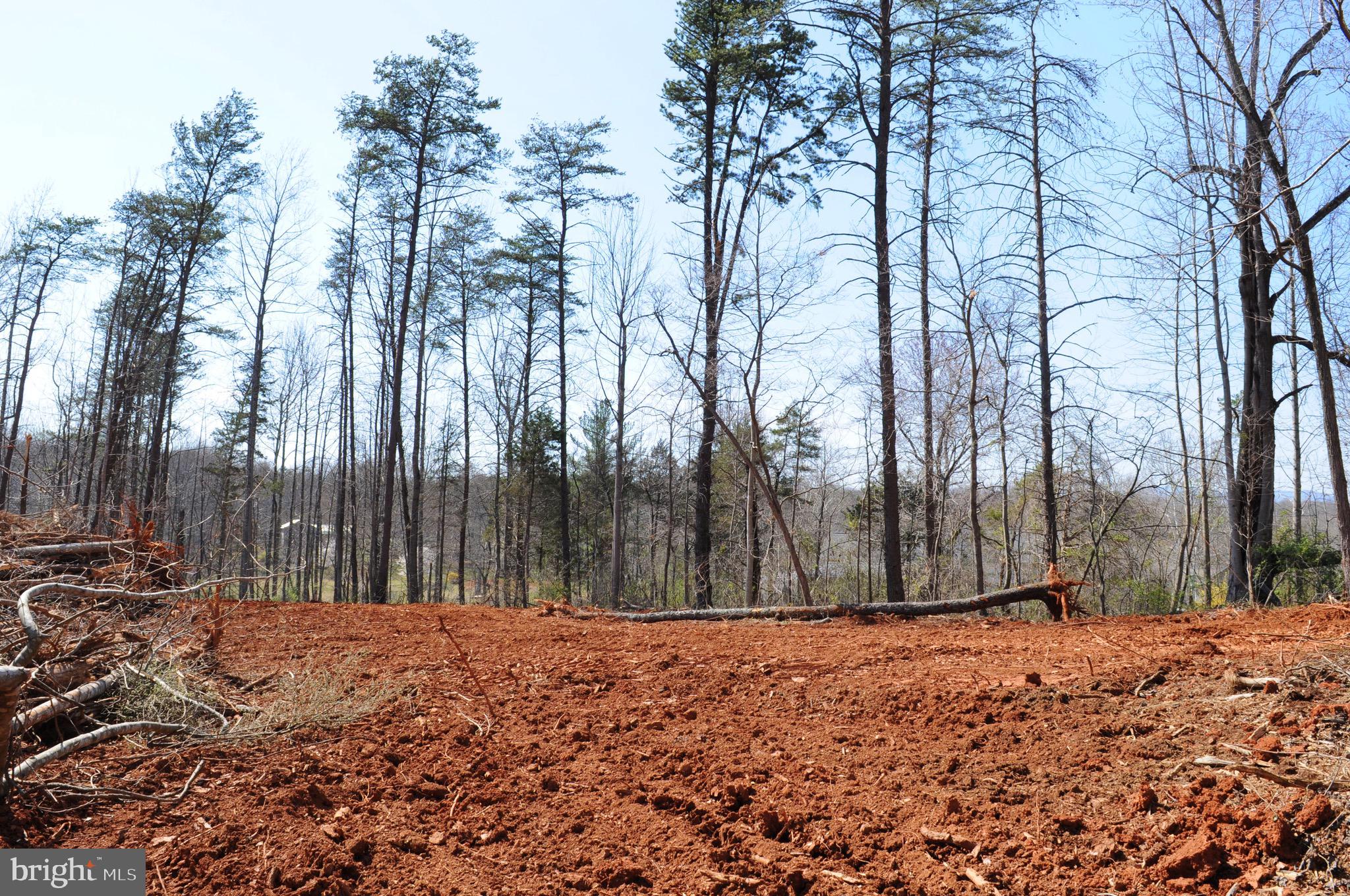 FIELDS OF GRIFFINSBURG - Land
