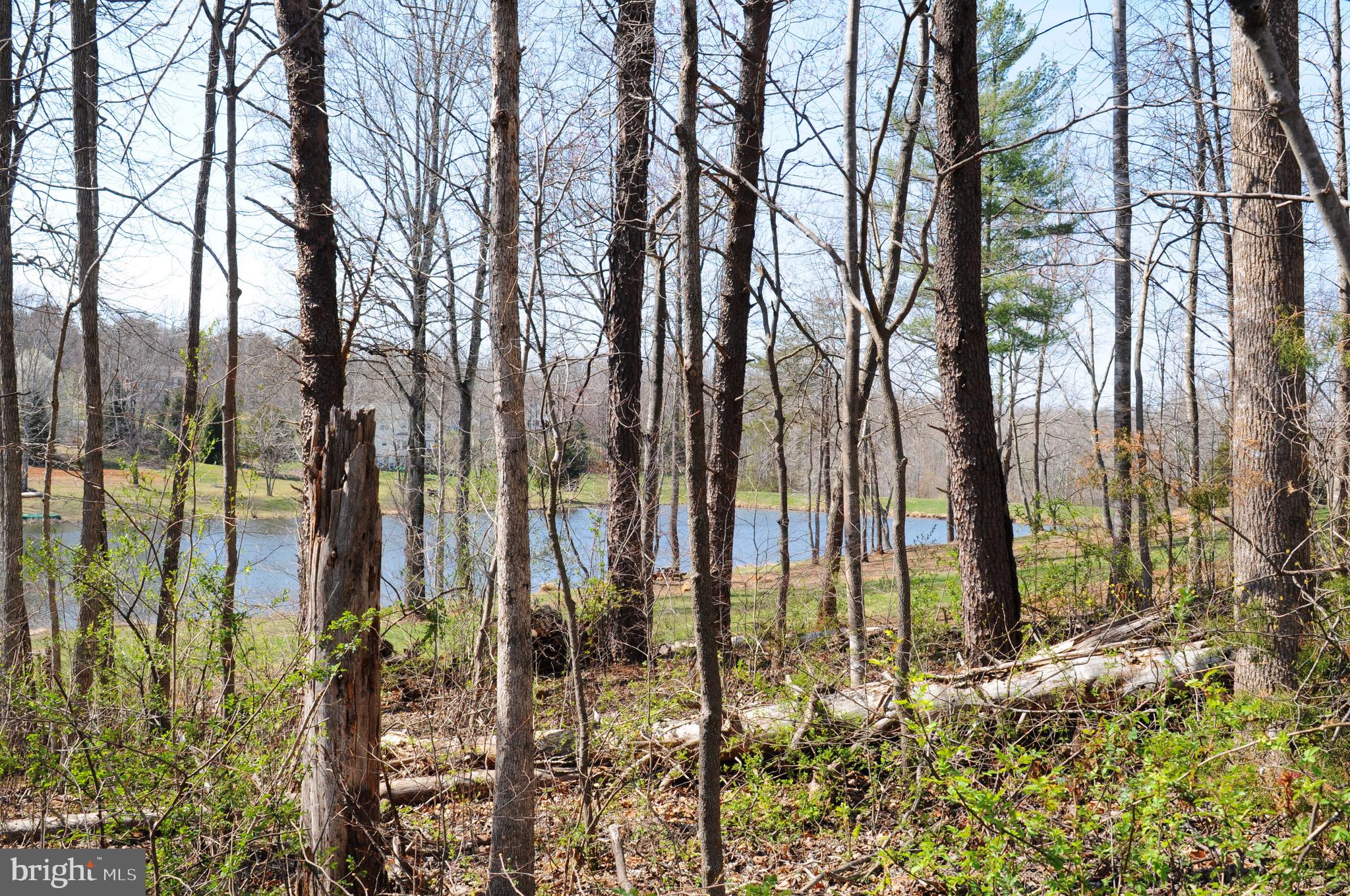 FIELDS OF GRIFFINSBURG - Land