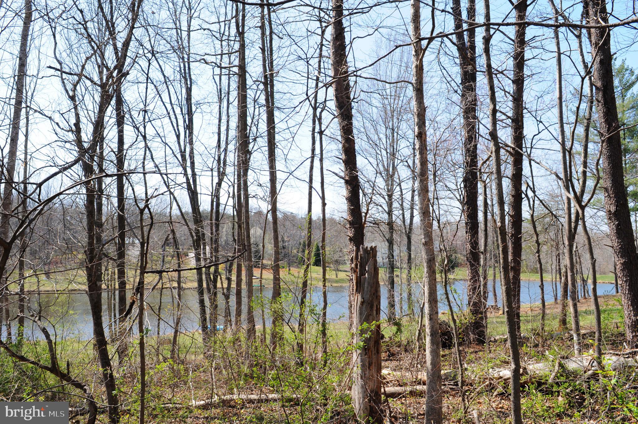 FIELDS OF GRIFFINSBURG - Land