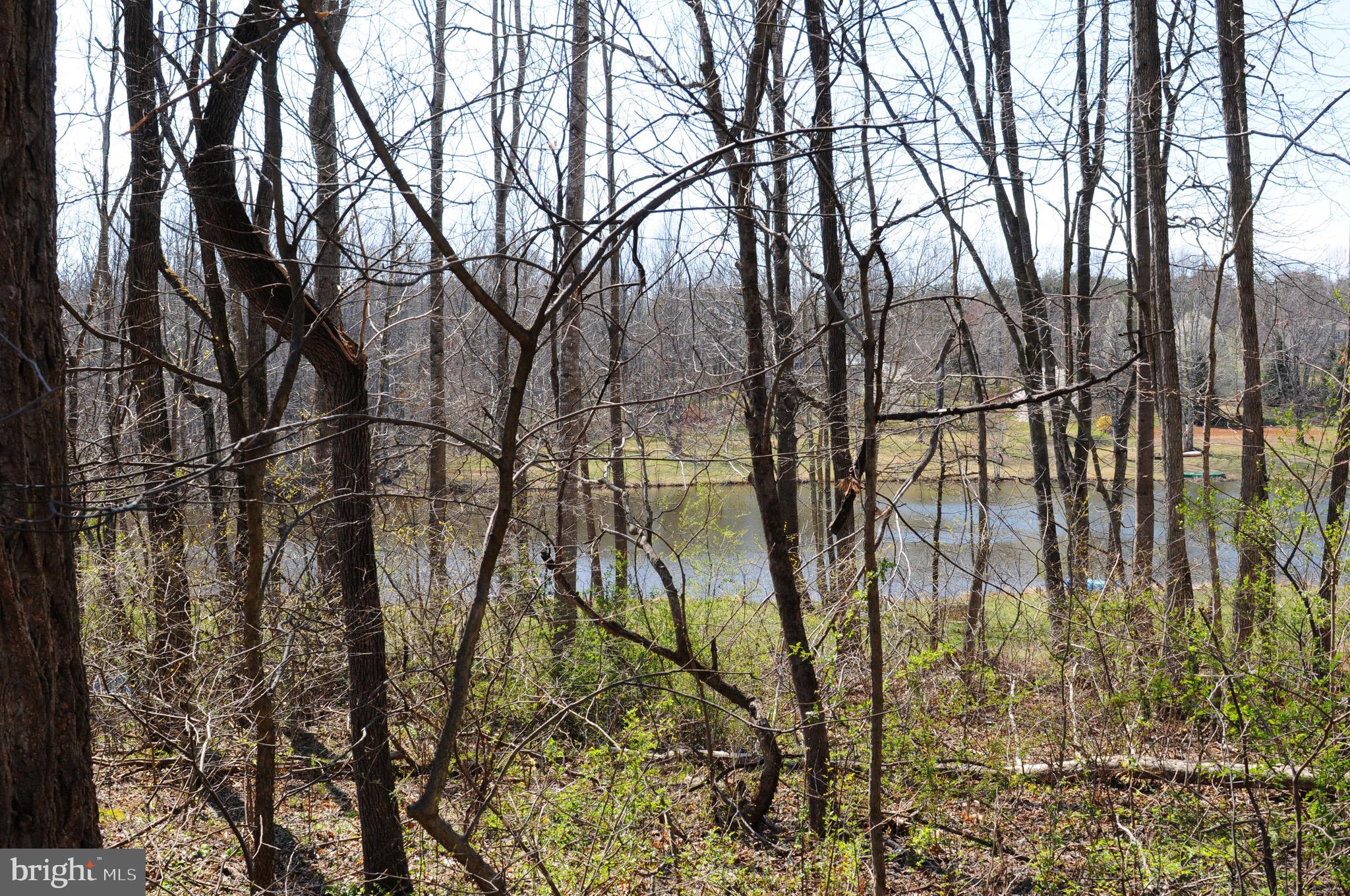 FIELDS OF GRIFFINSBURG - Land