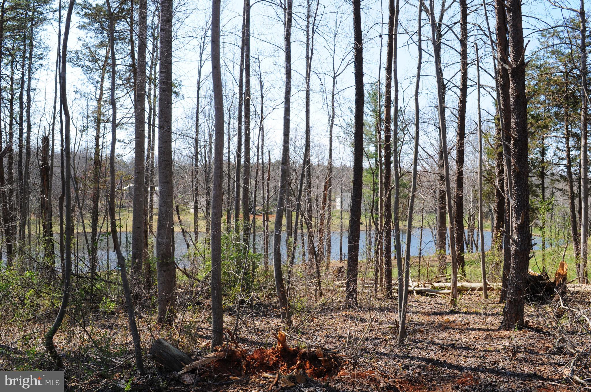 FIELDS OF GRIFFINSBURG - Land