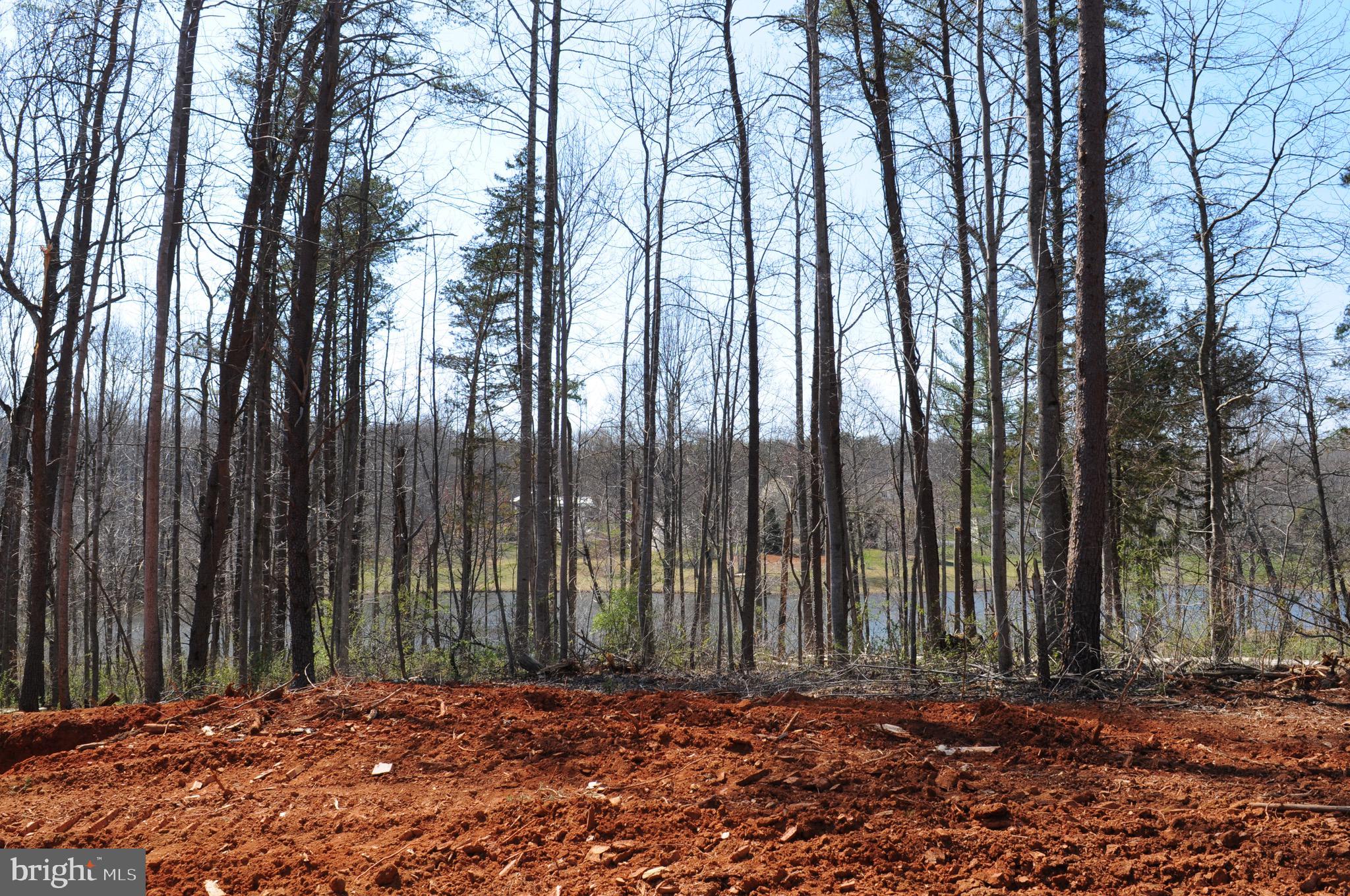 FIELDS OF GRIFFINSBURG - Land