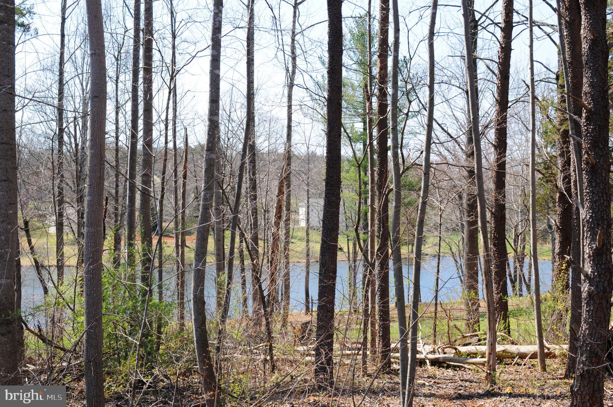 FIELDS OF GRIFFINSBURG - Land