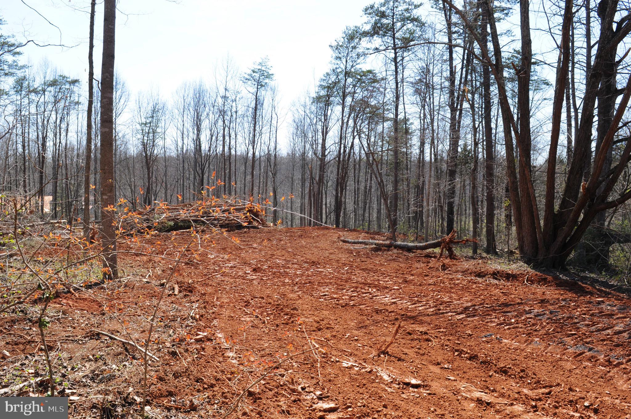 FIELDS OF GRIFFINSBURG - Land